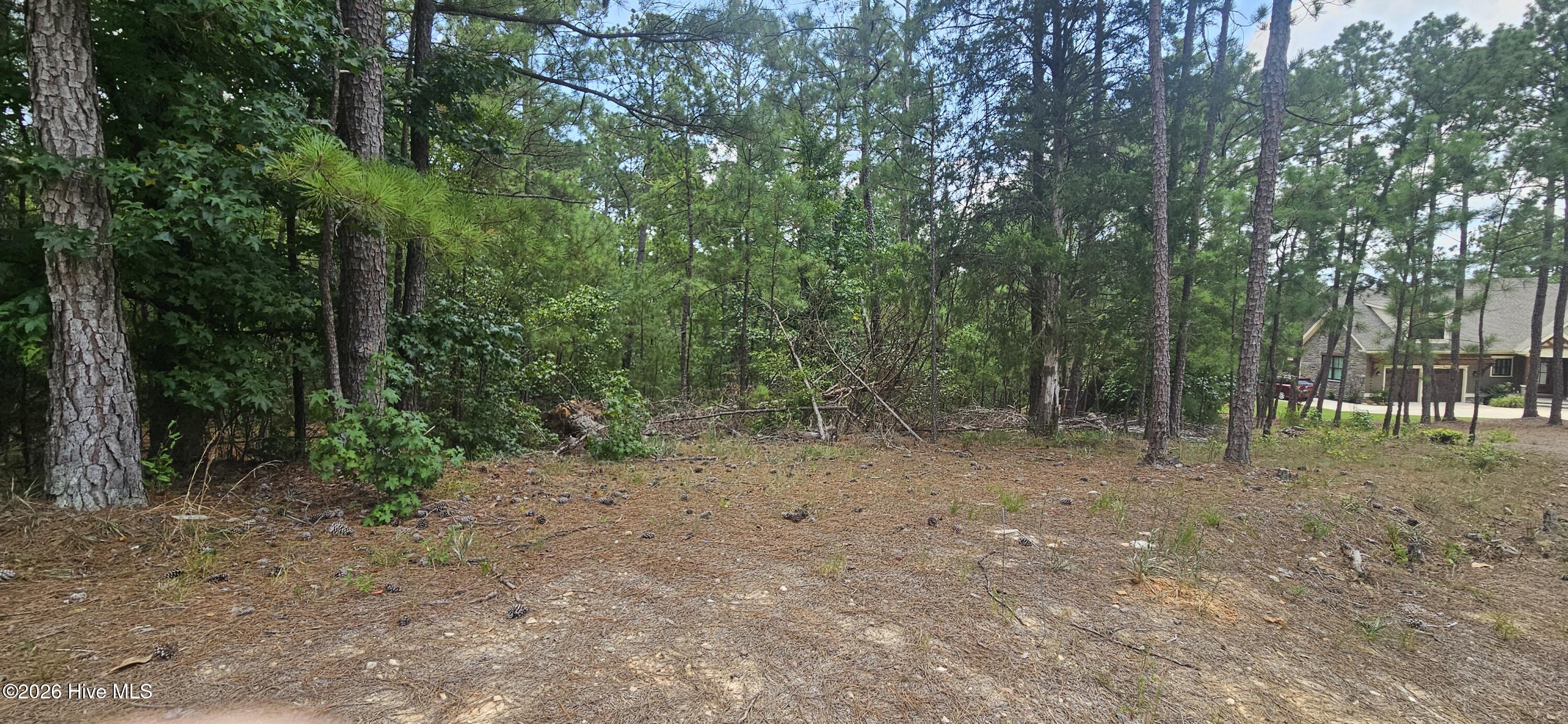 Lot 2 Amelia Drive Property Photo 1
