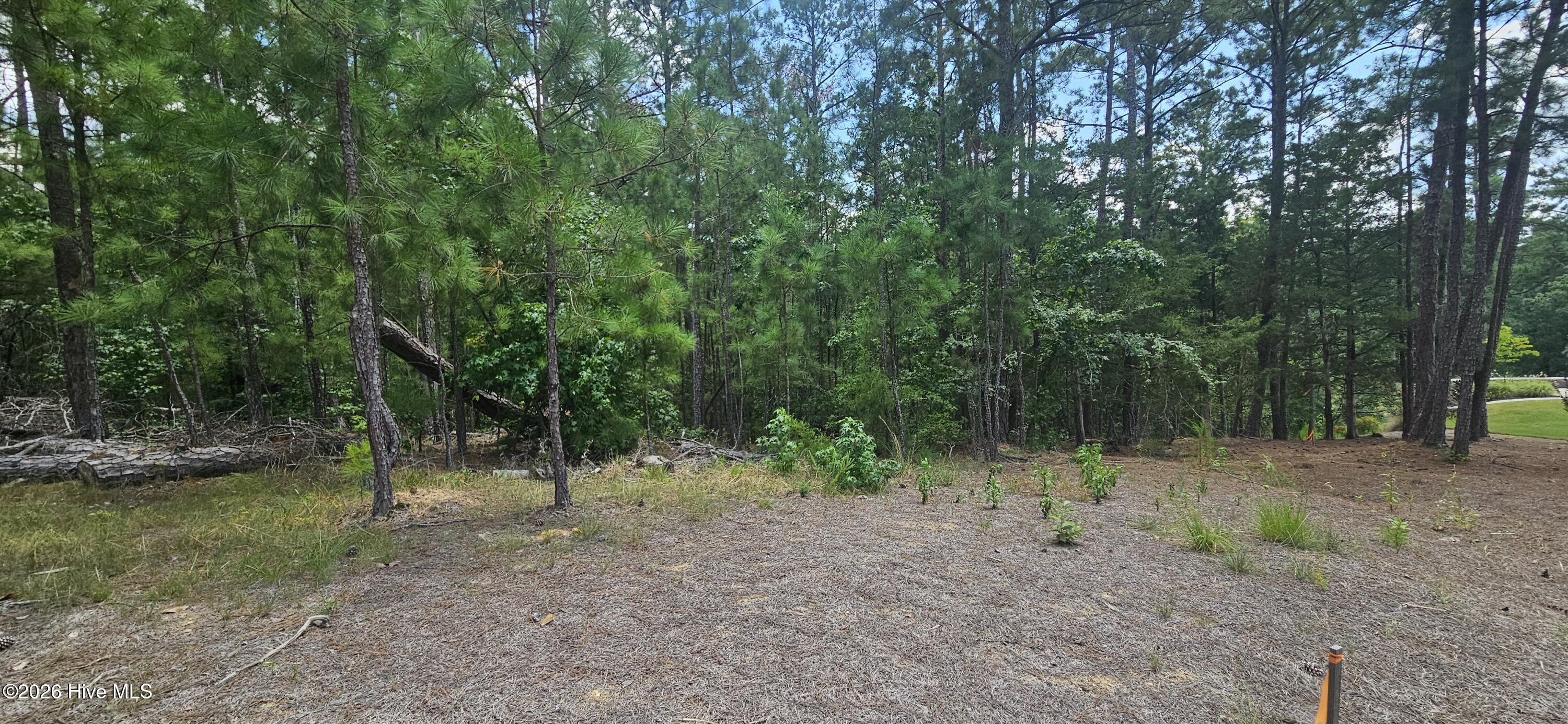 Lot 2 Amelia Drive Property Photo 2
