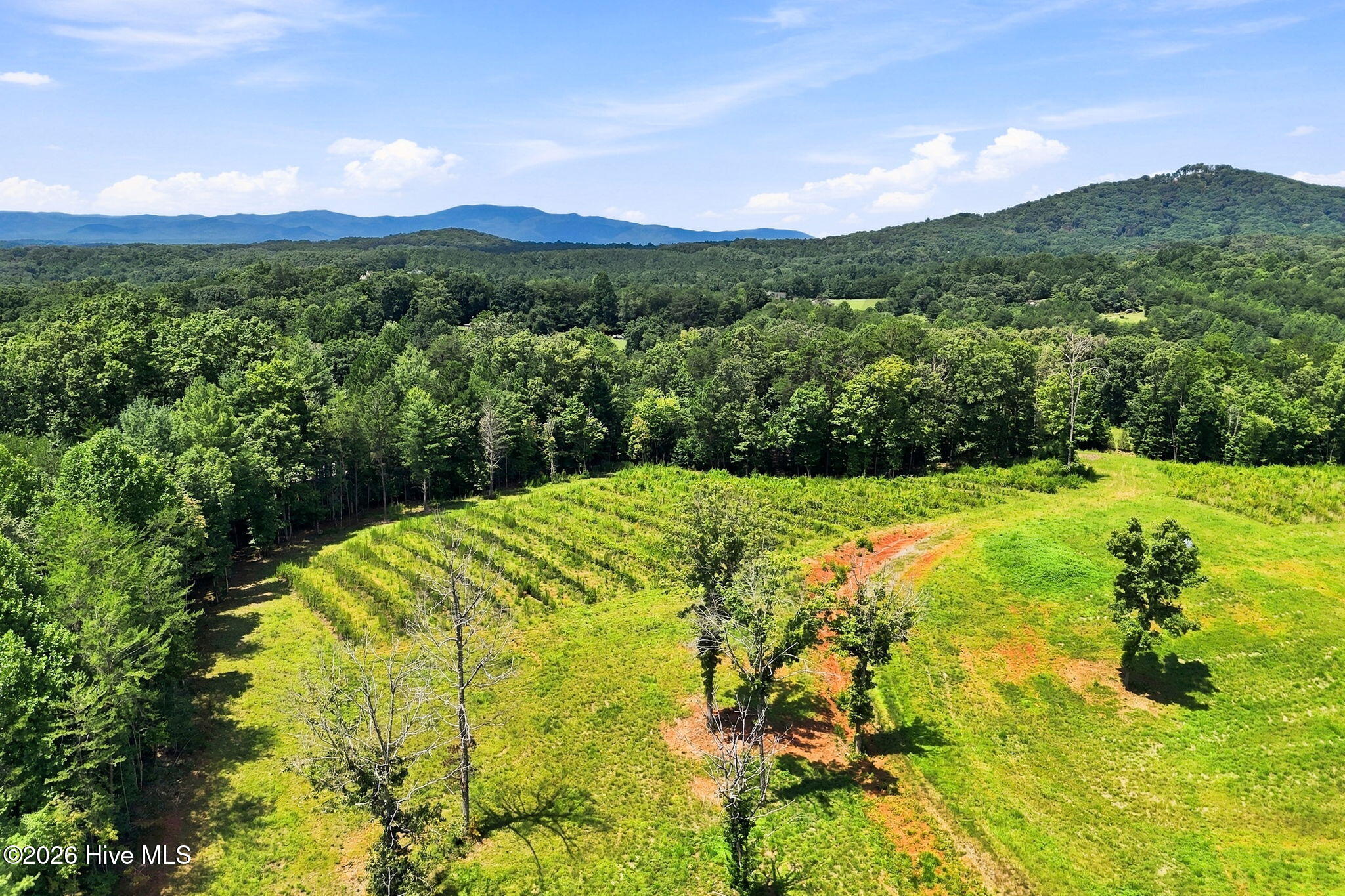 1175 Wolfcreek Road Property Photo 79