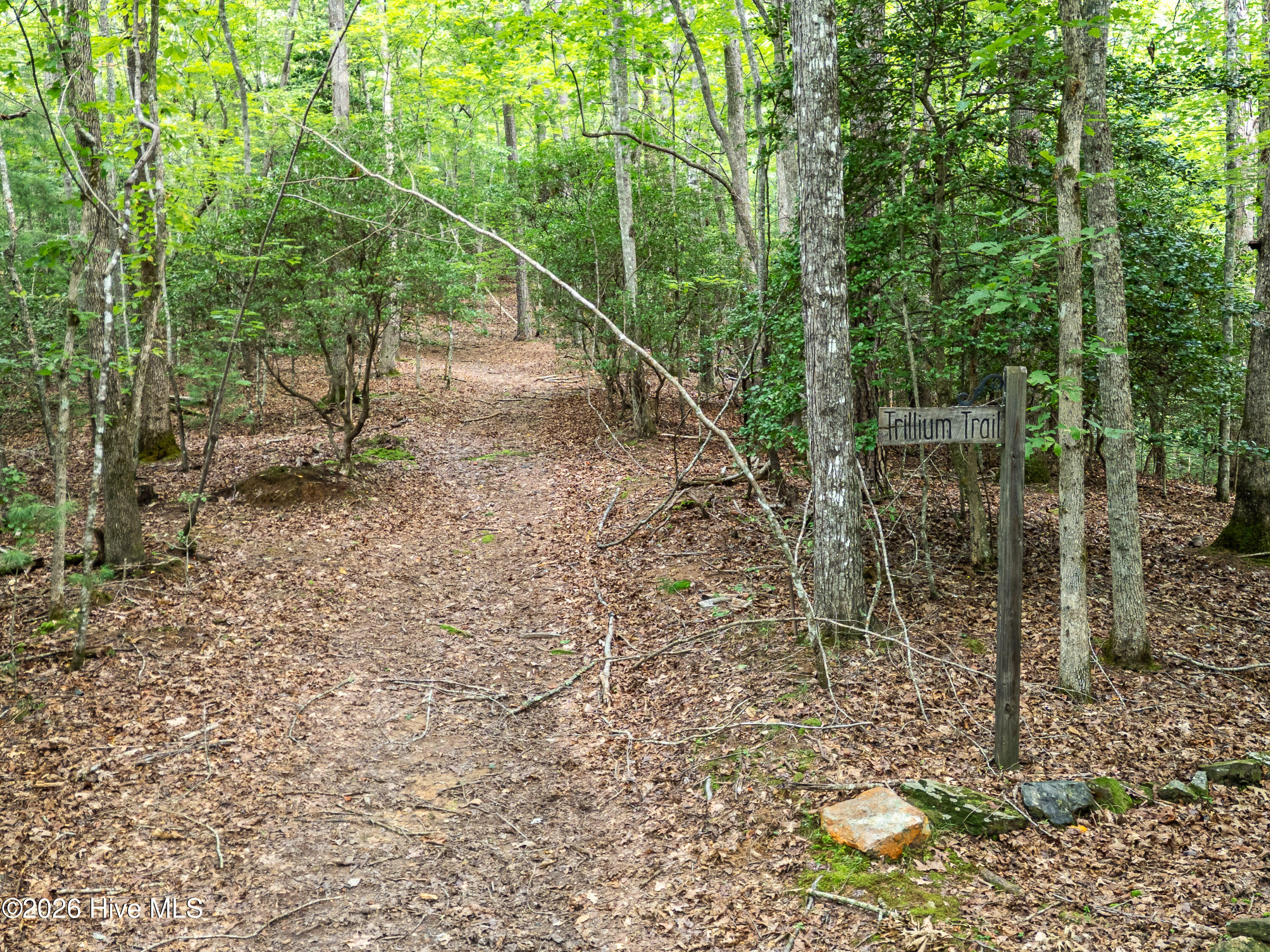 1054 Dickey Road Property Photo 34