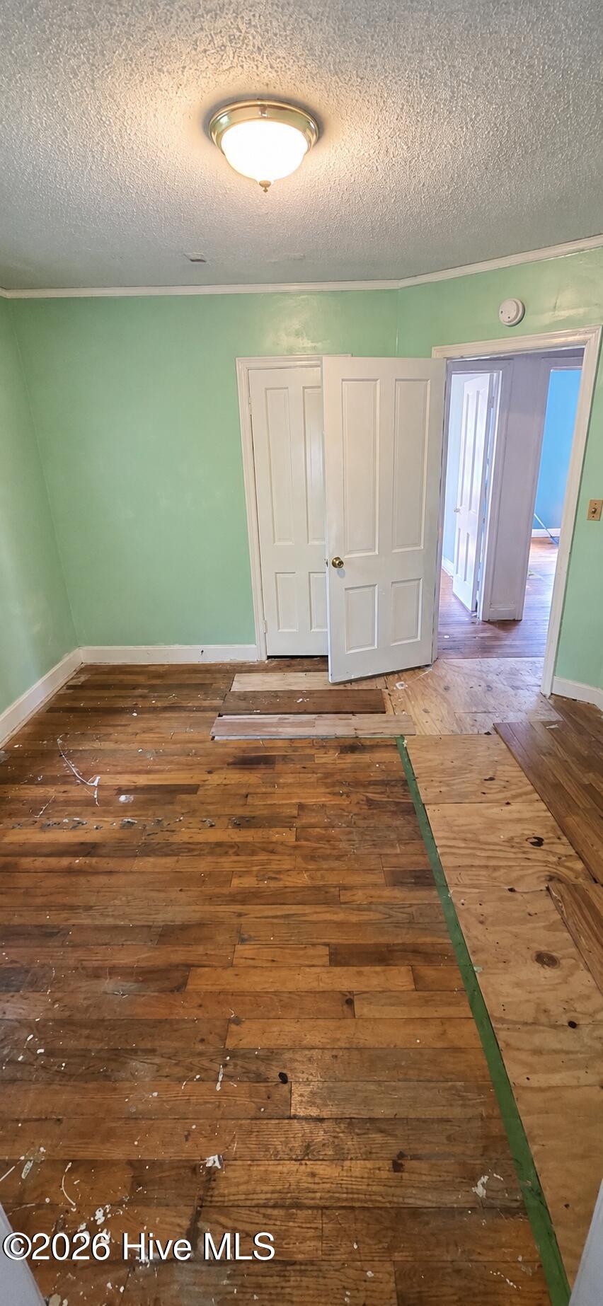 9 E Bayshore Boulevard Property Photo 6