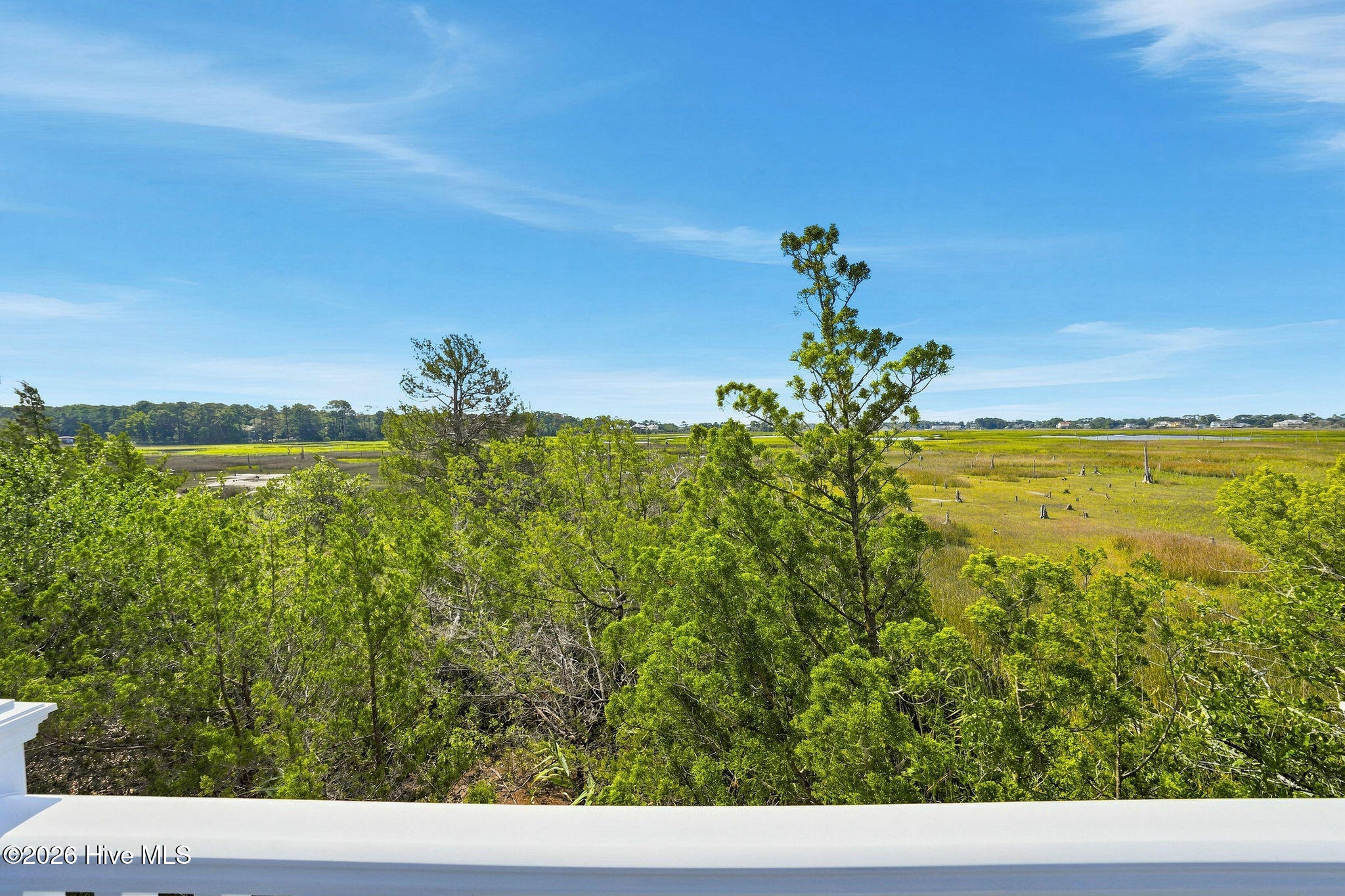 4418 Polly Gully Court Se Property Photo 29