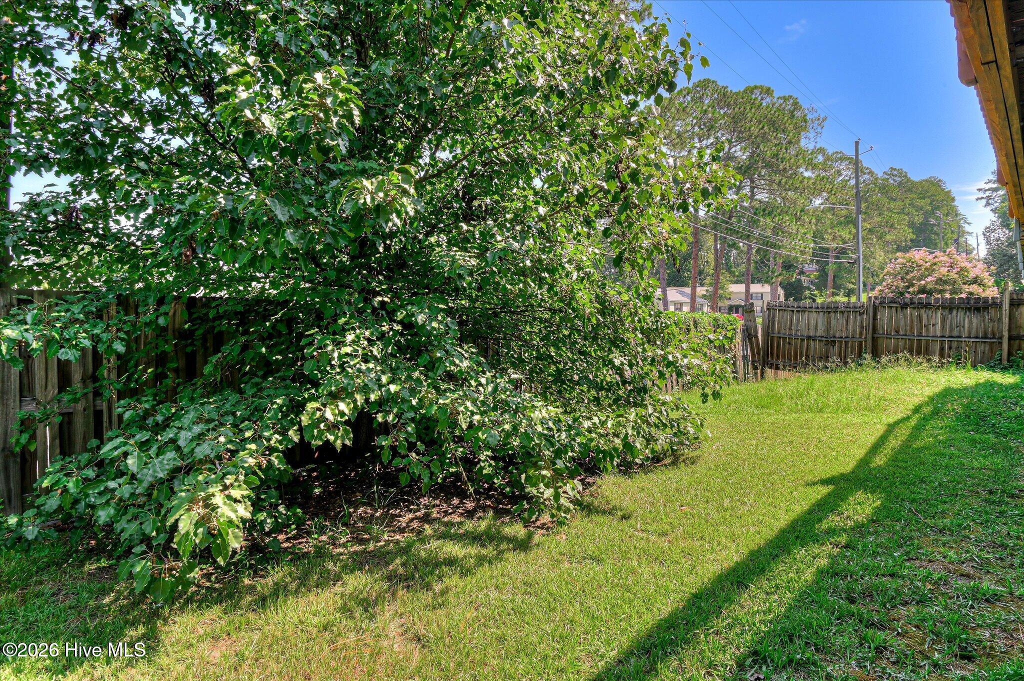 2917 Norgate Drive Property Photo 36