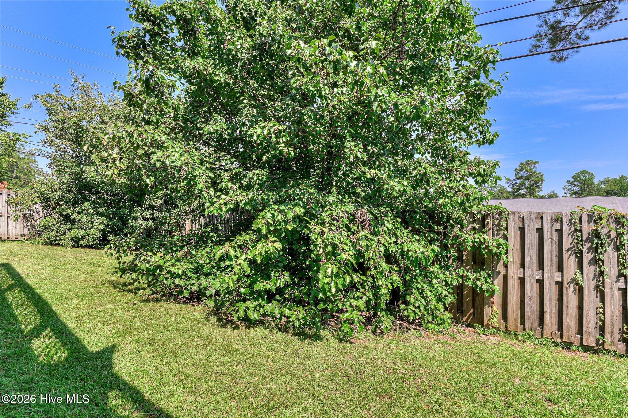 2917 Norgate Drive Property Photo 37