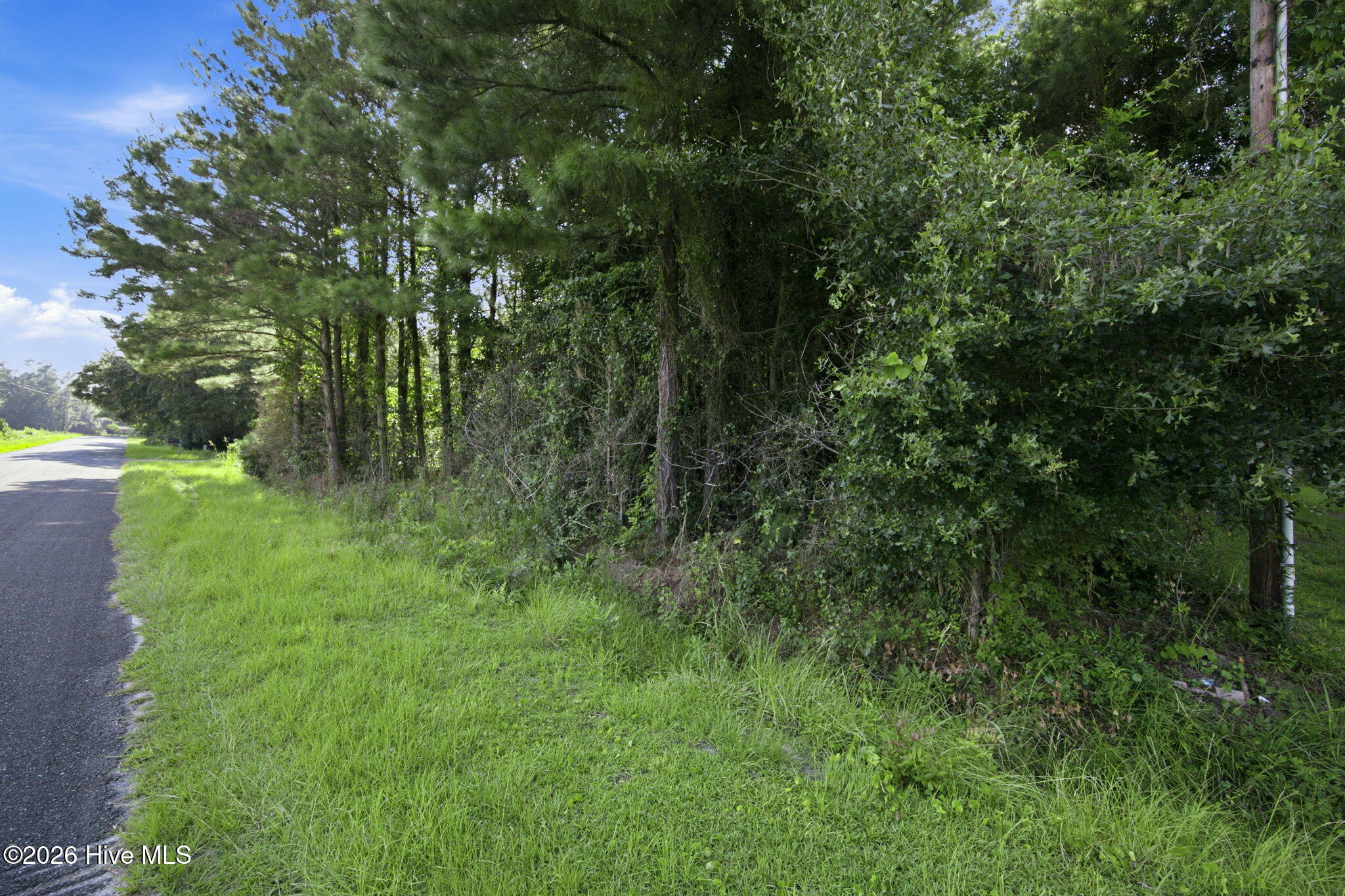 704 Gordon Lewis Drive Se Property Photo 13