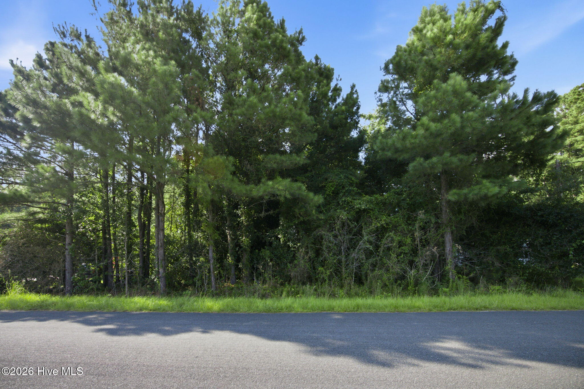 704 Gordon Lewis Drive Se Property Photo 14