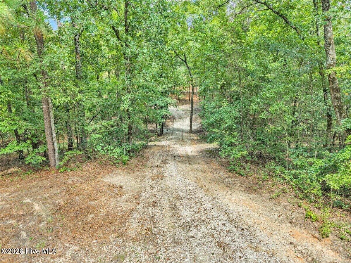 4359 Storm Branch Road Property Photo 4