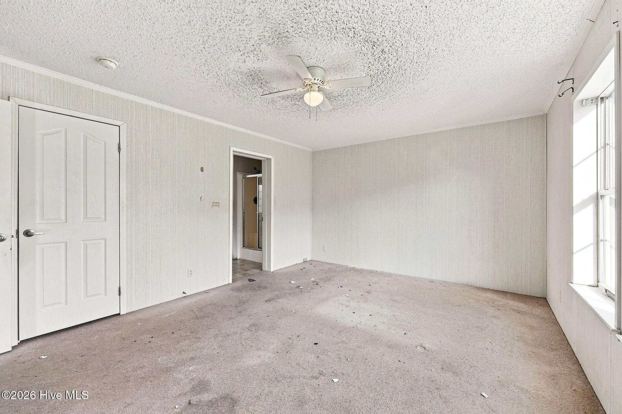 506 Britannia Drive Property Photo 20