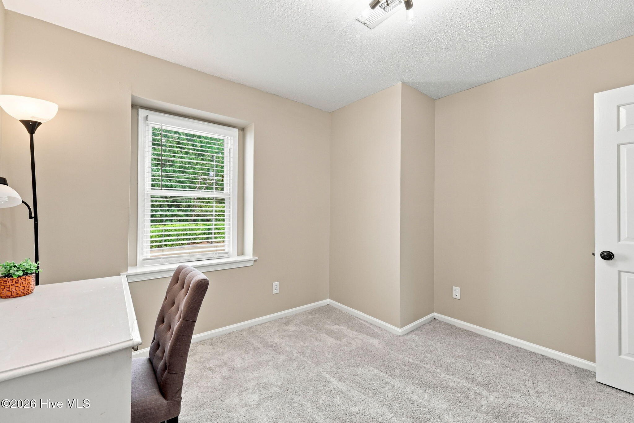 17 Scott Street Property Photo 33