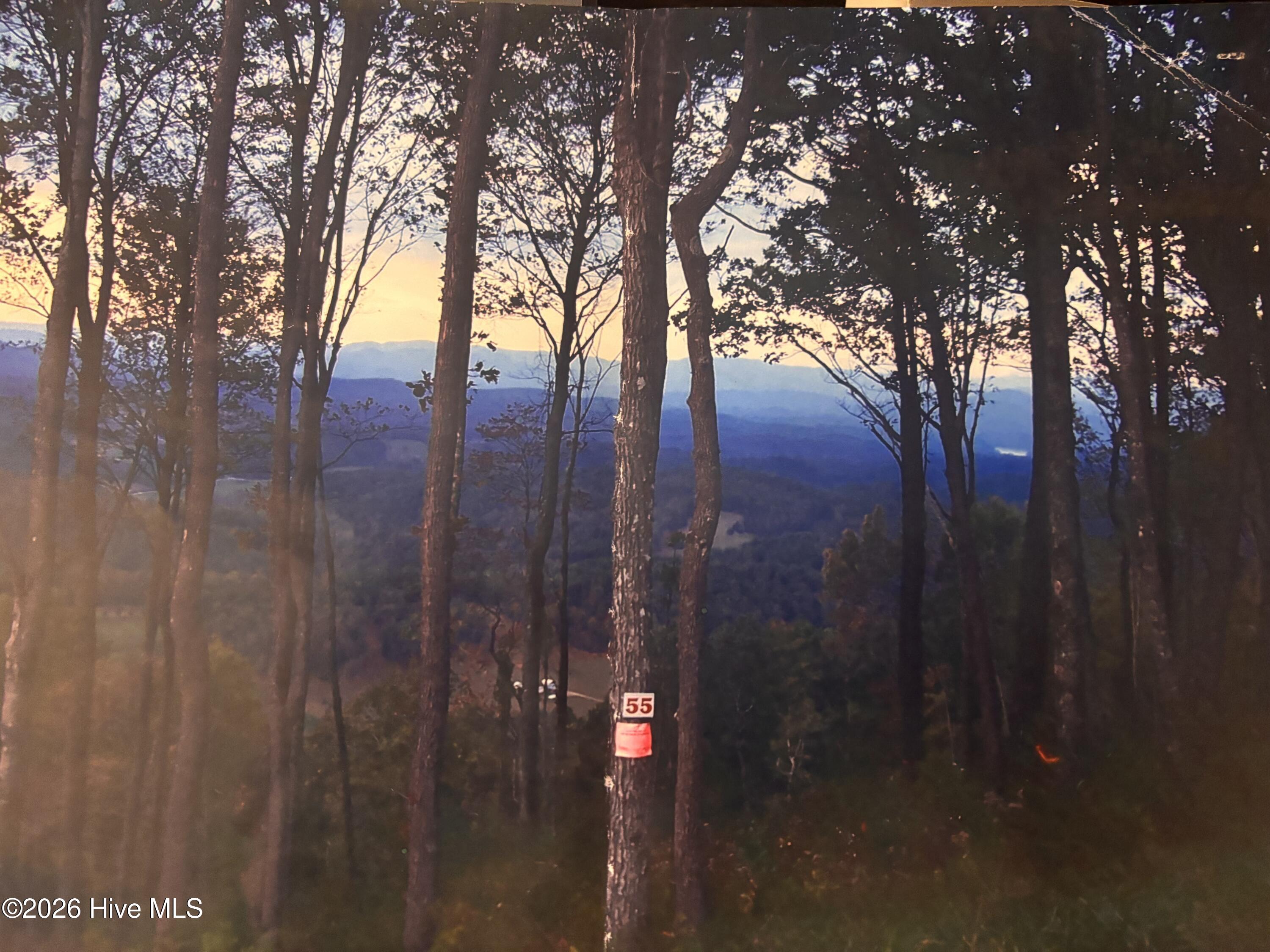55 Buck Ridge Drive Property Photo 2