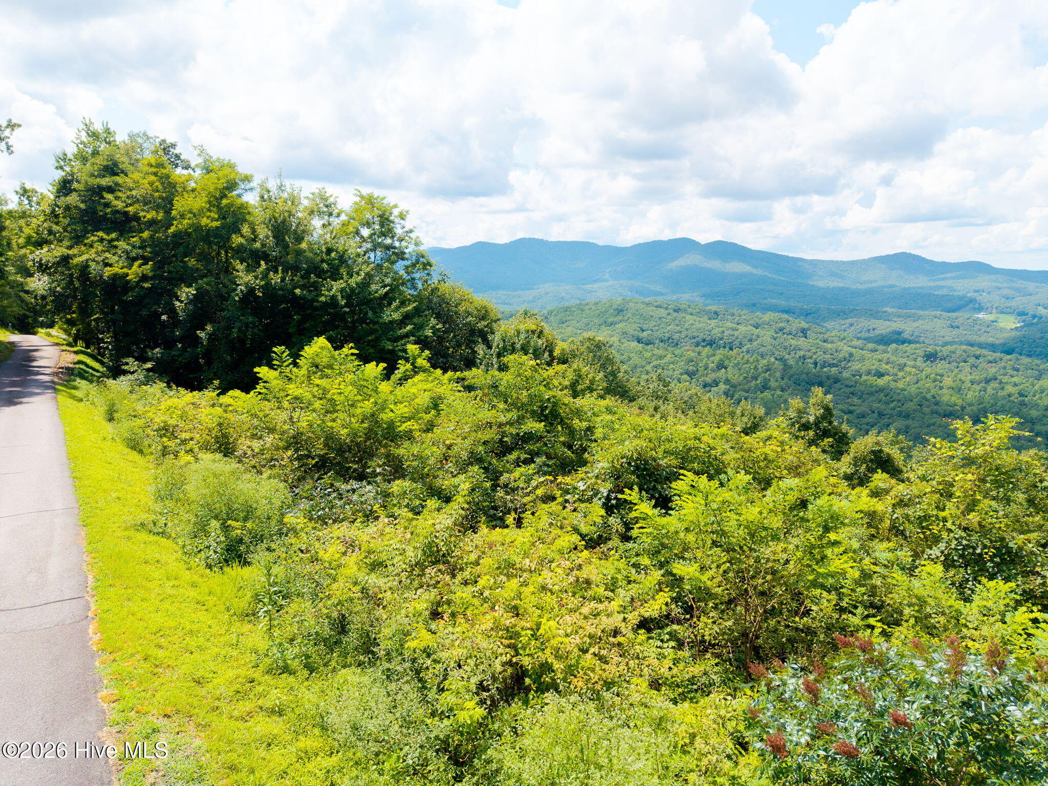 55 Buck Ridge Drive Property Photo 4