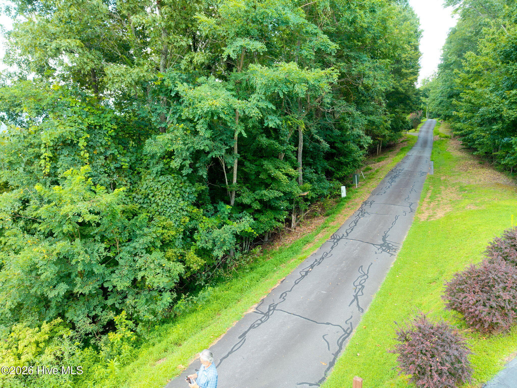 55 Buck Ridge Drive Property Photo 8