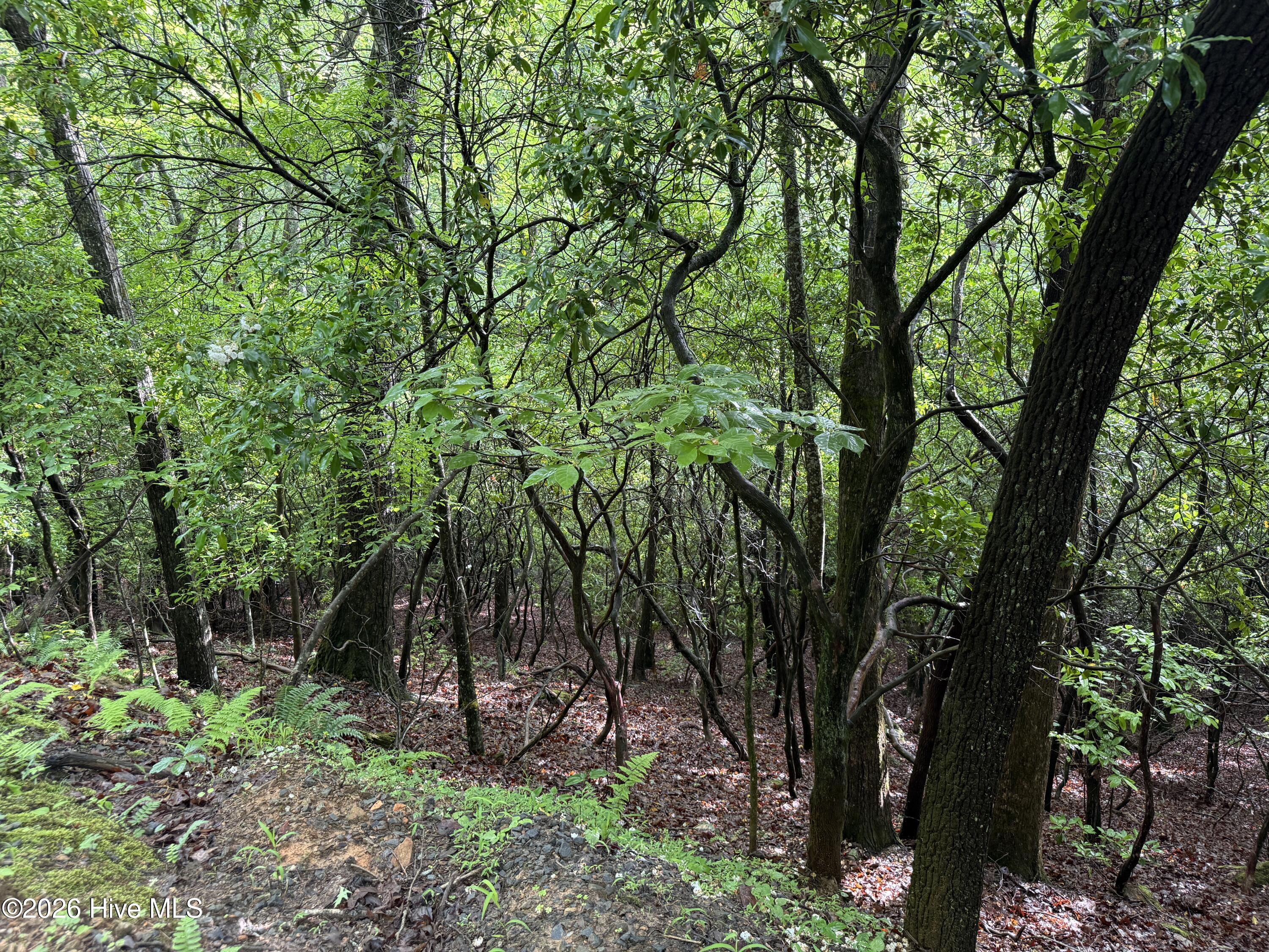 Lot 28 Atoah Loop Property Photo 5