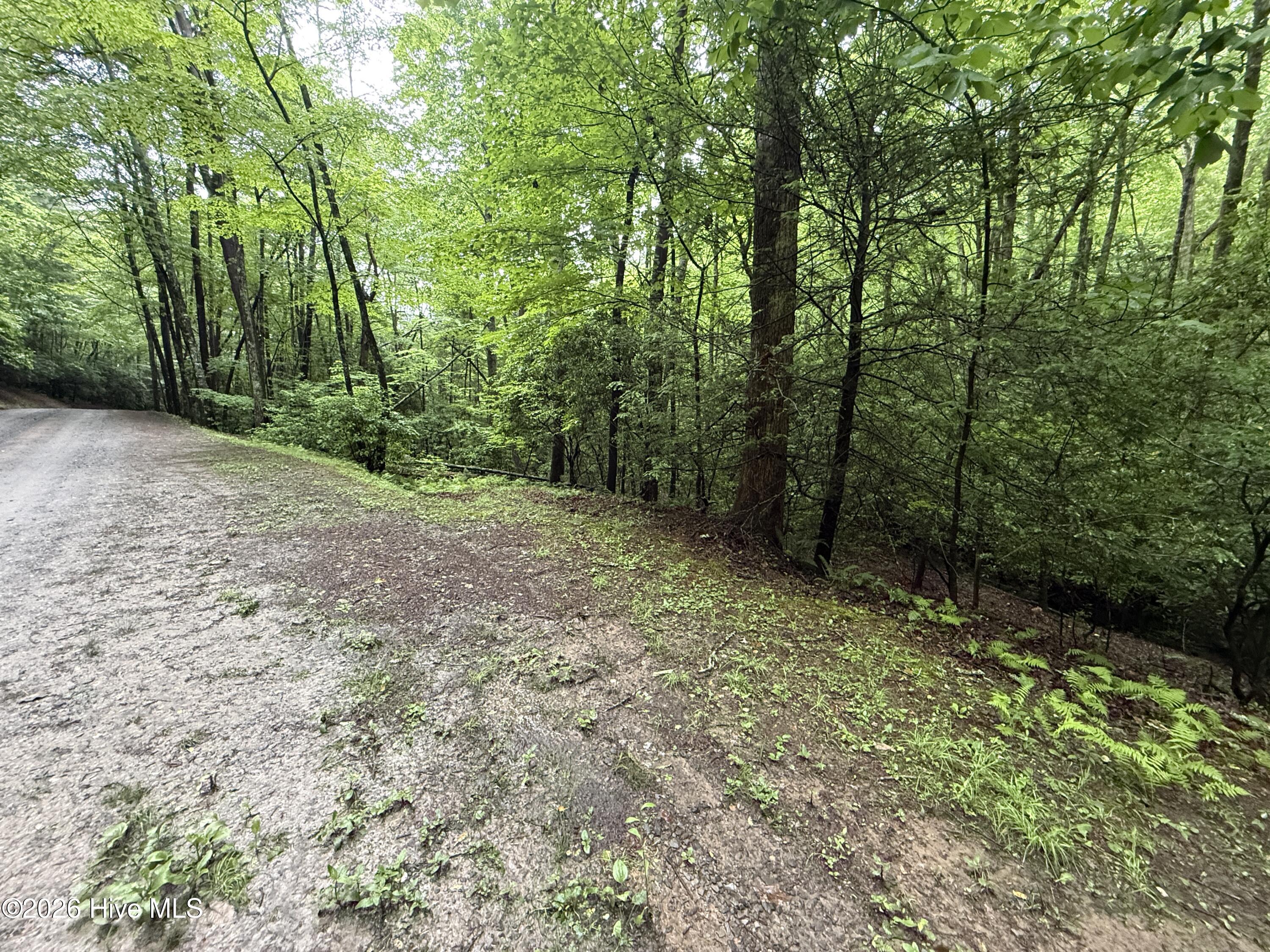 Lot 28 Atoah Loop Property Photo 6