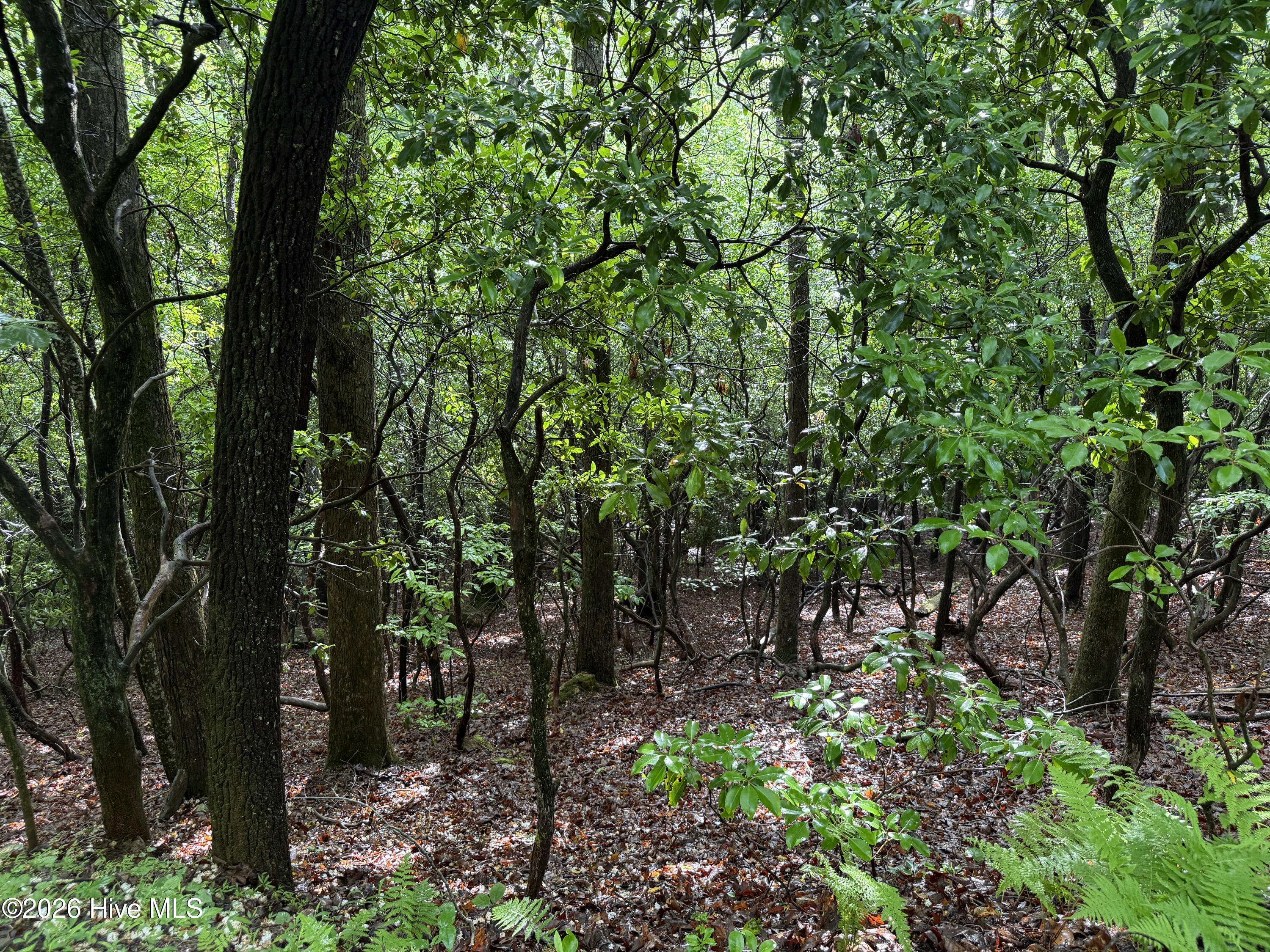 Lot 28 Atoah Loop Property Photo 7