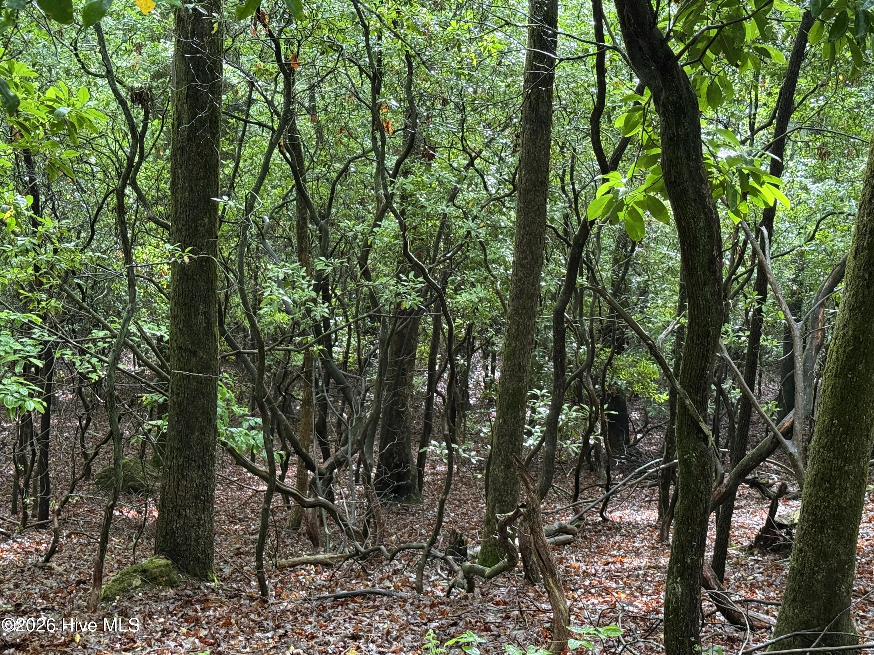 Lot 28 Atoah Loop Property Photo 8