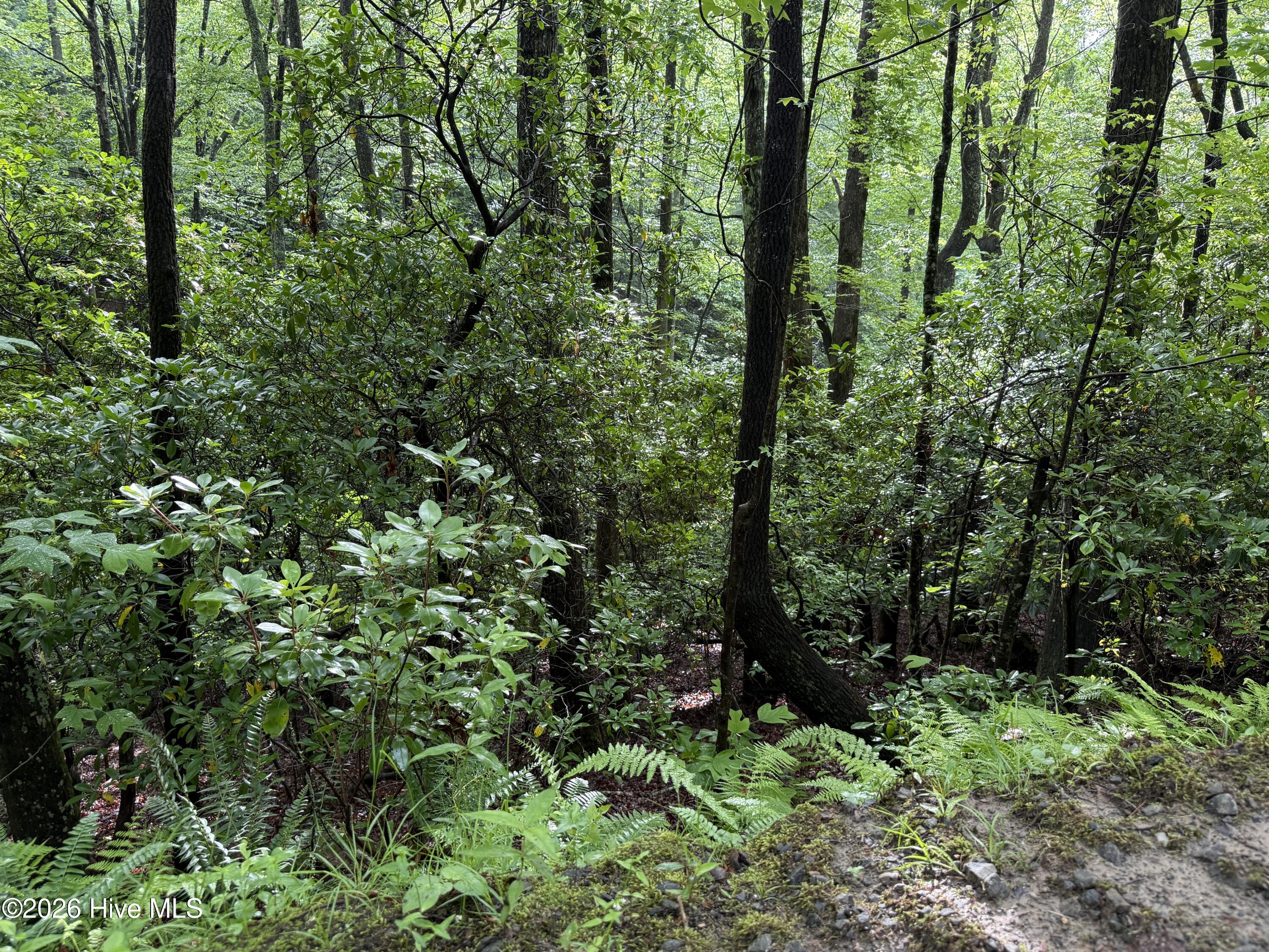 Lot 28 Atoah Loop Property Photo 9