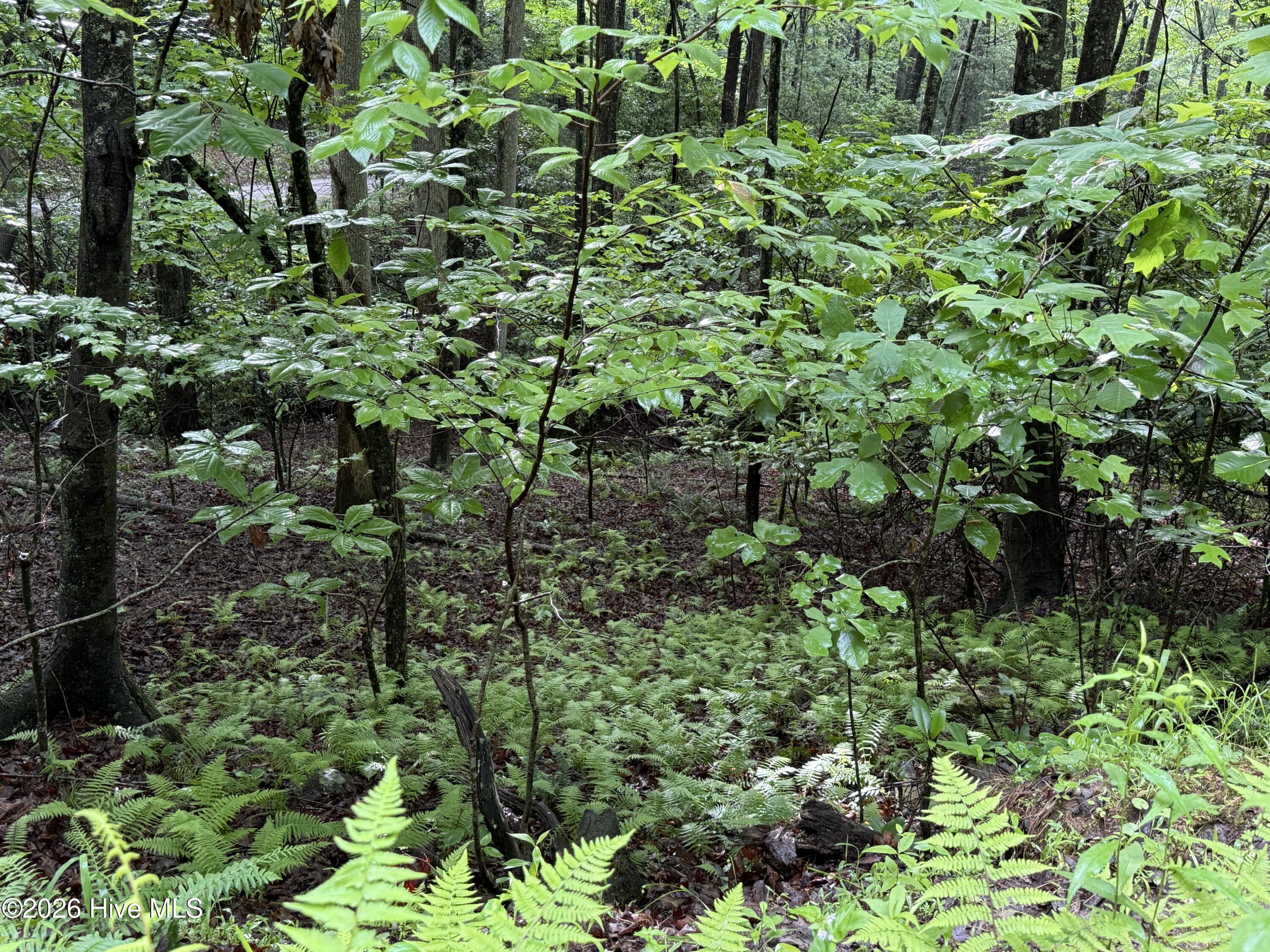 Lot 28 Atoah Loop Property Photo 10