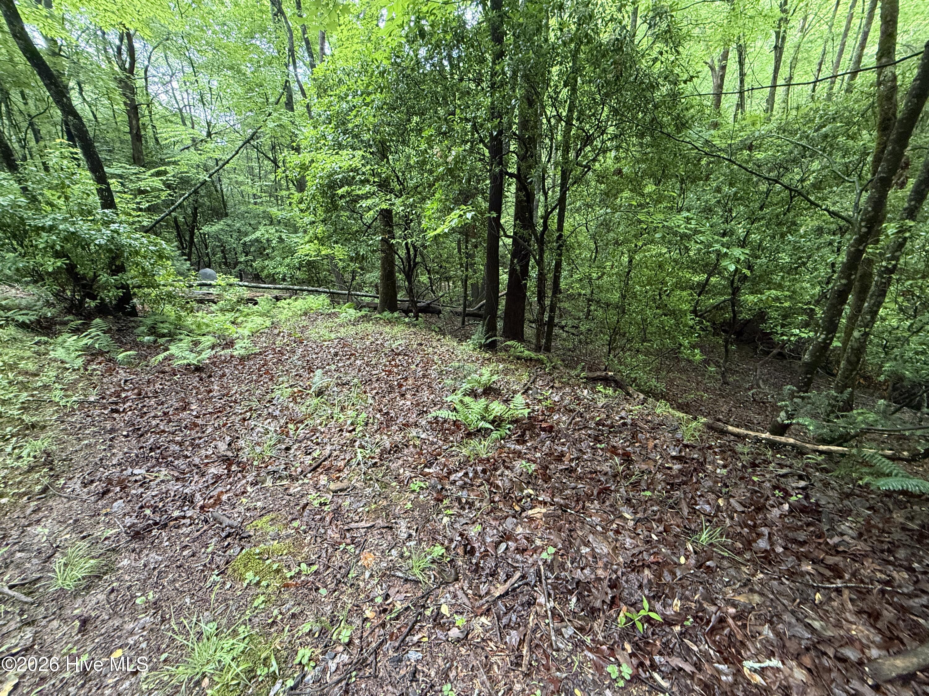 Lot 28 Atoah Loop Property Photo 11