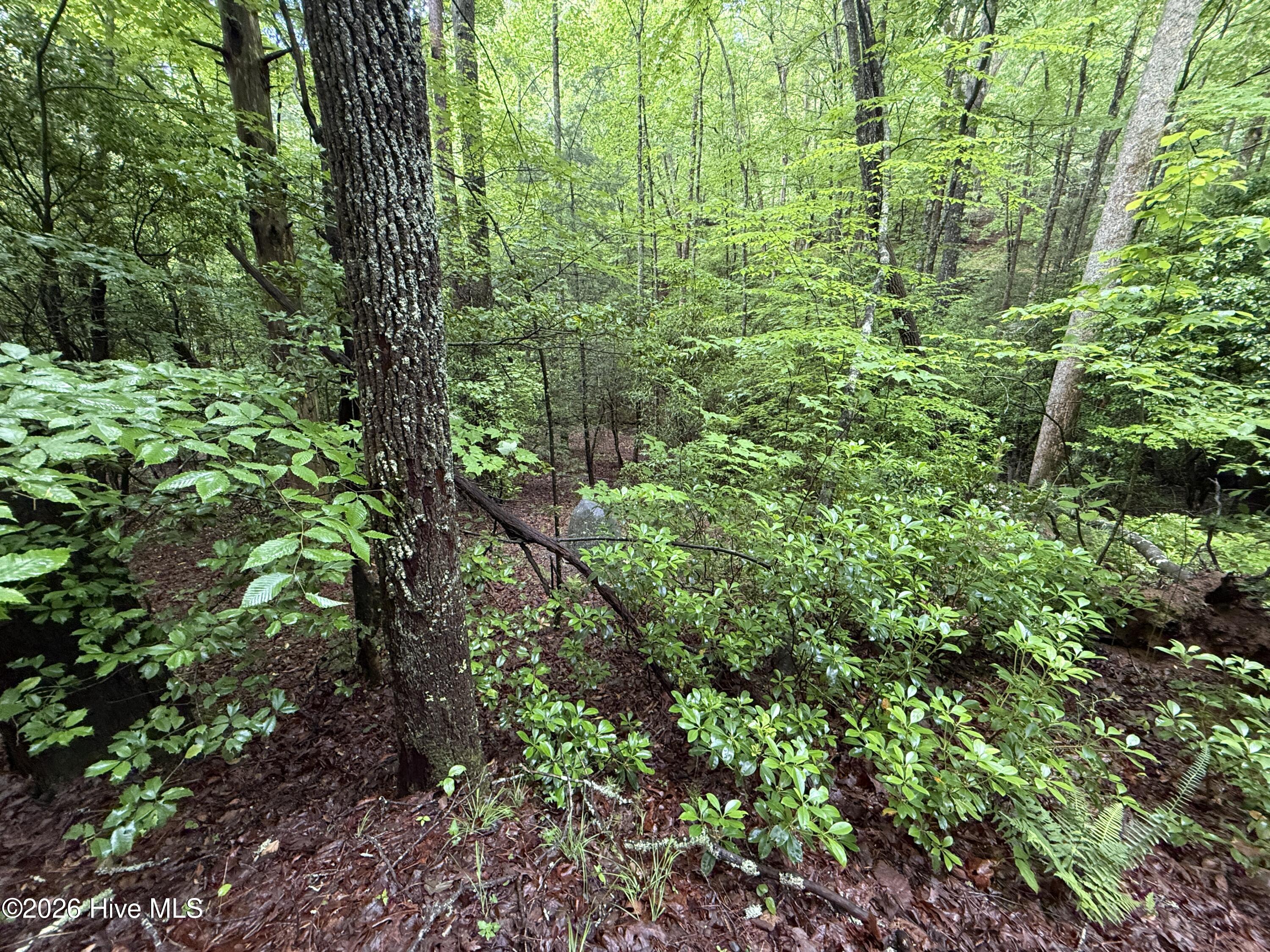 Lot 28 Atoah Loop Property Photo 12