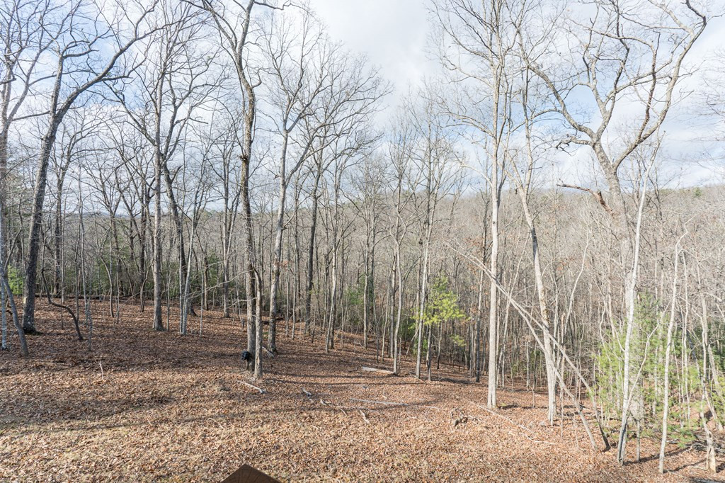 318 Tracks Hollow Property Photo 40