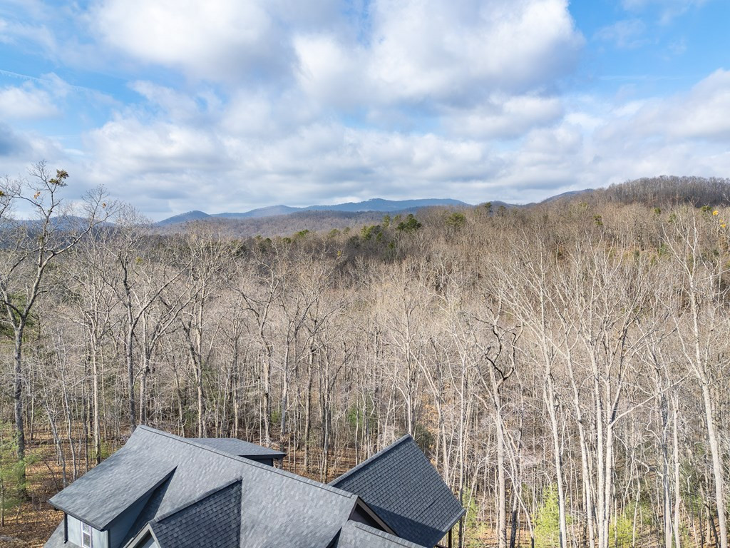 318 Tracks Hollow Property Photo 47