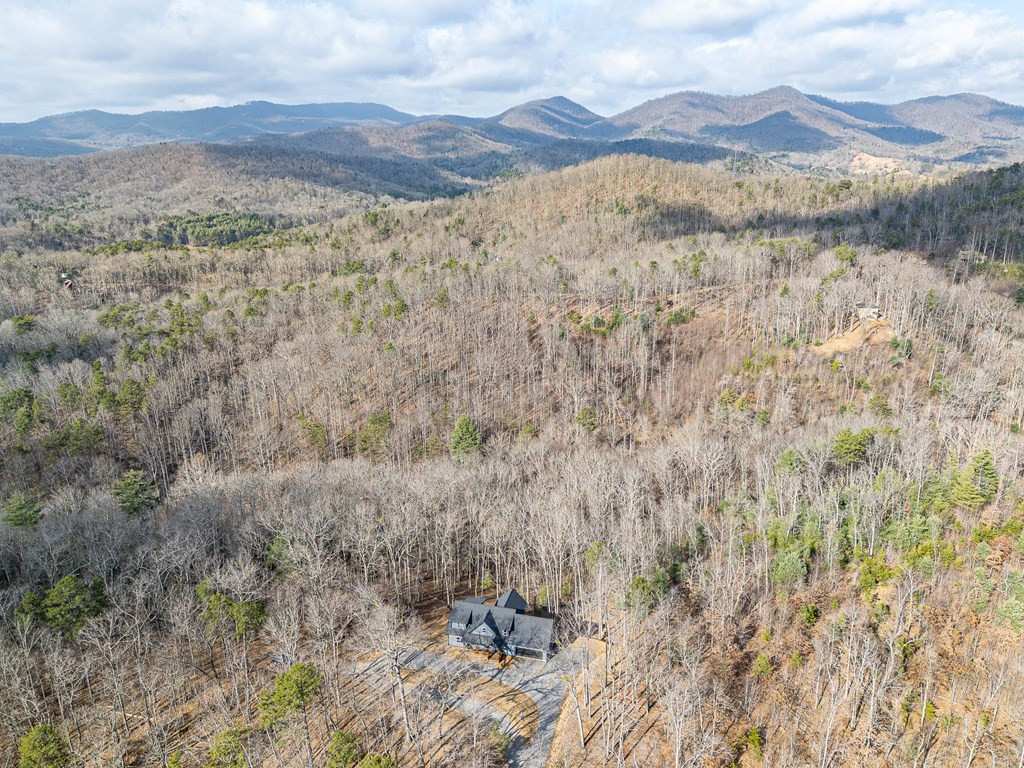 318 Tracks Hollow Property Photo 48