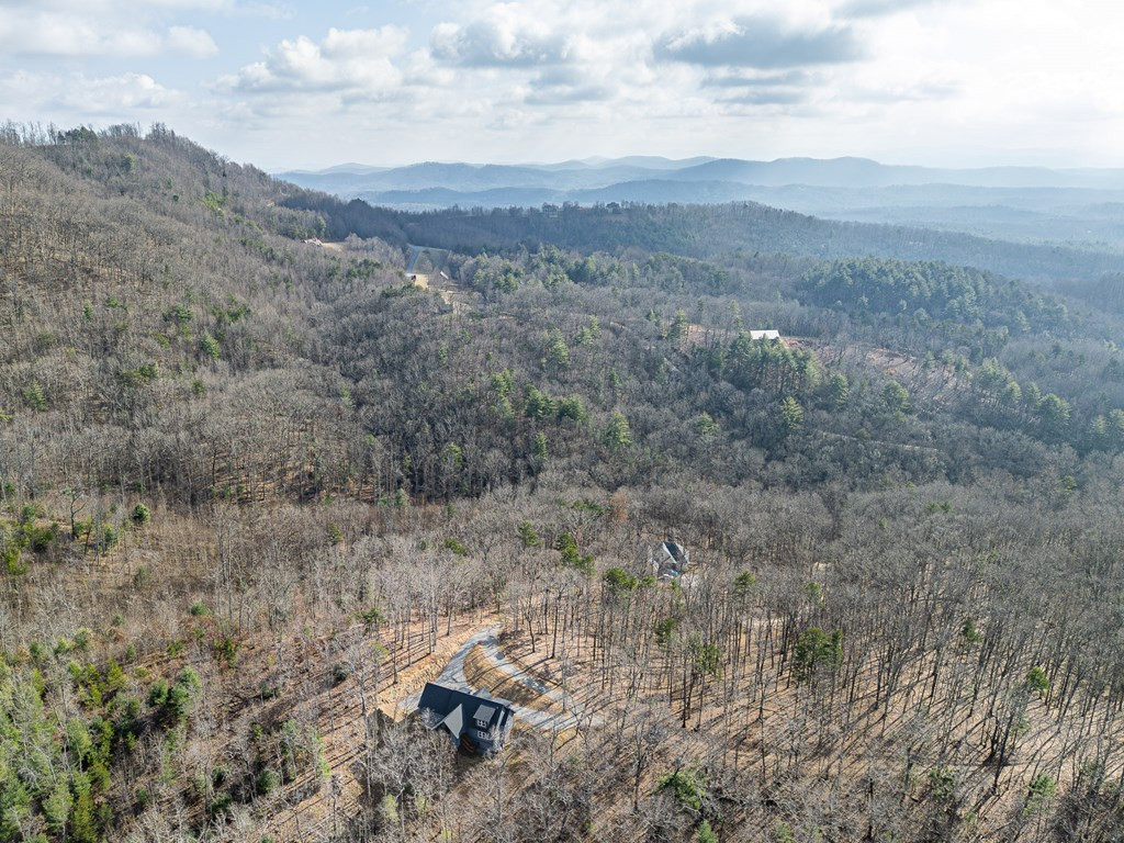 318 Tracks Hollow Property Photo 49