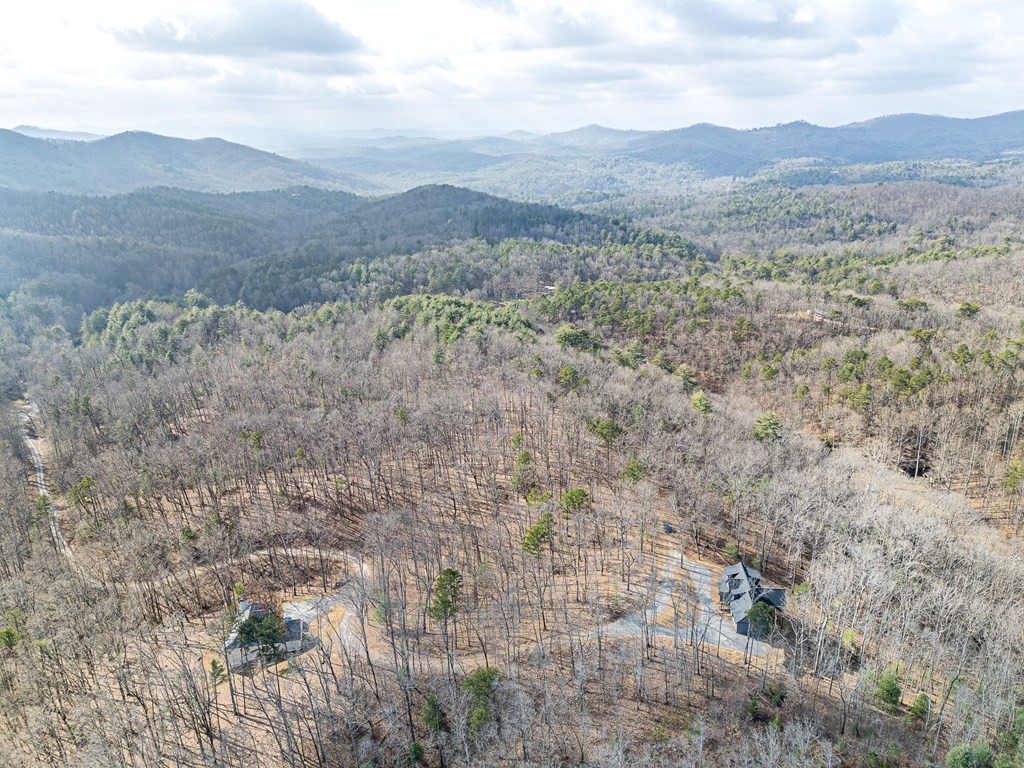 318 Tracks Hollow Property Photo 50