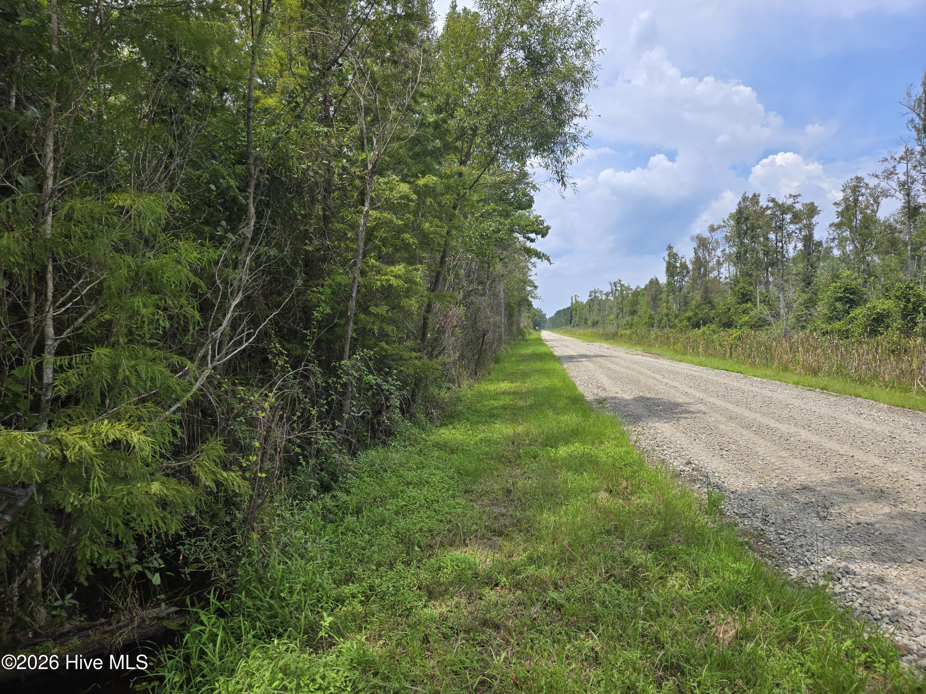 0 Elementary School Road Property Photo 1