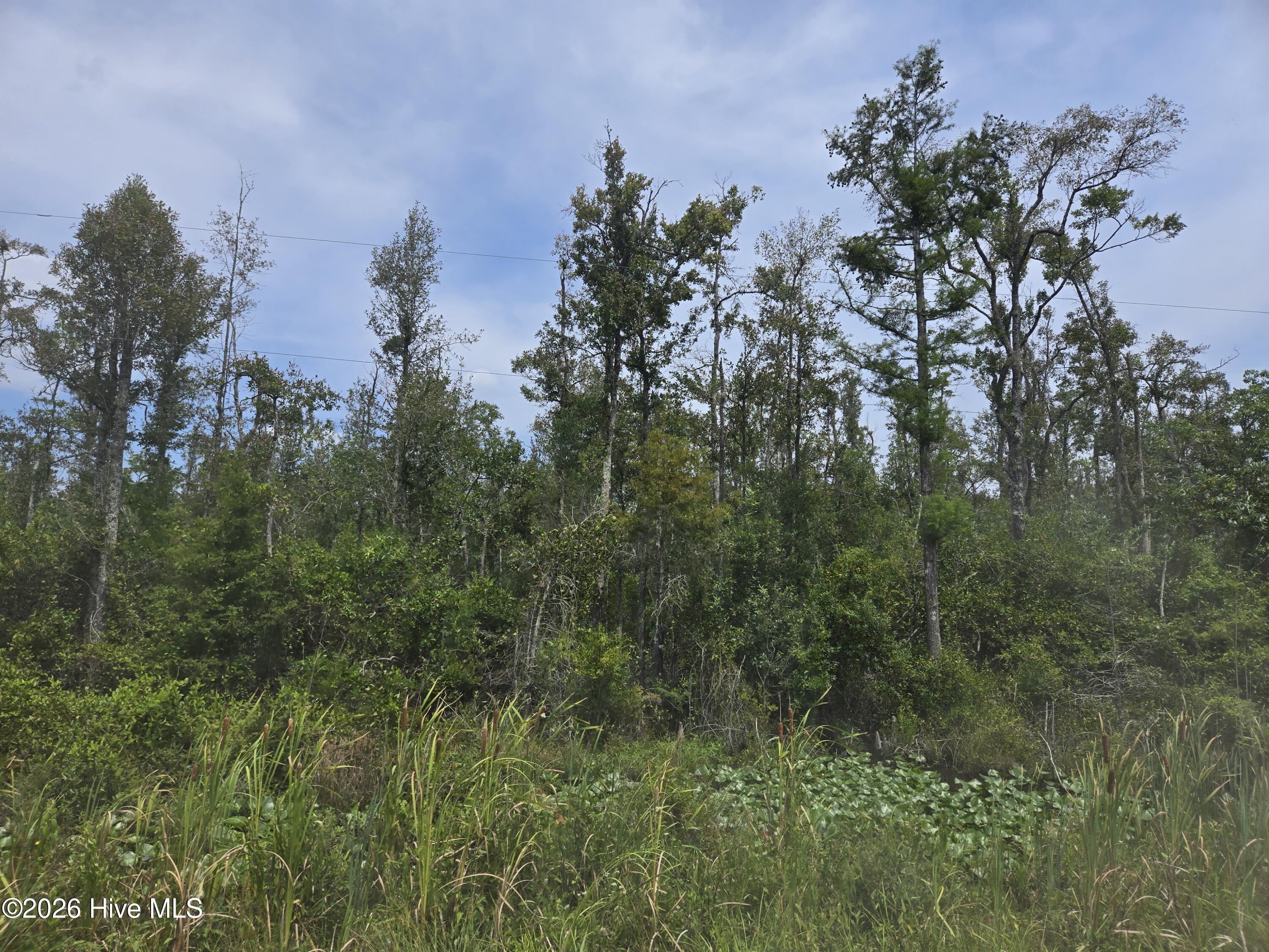 0 Elementary School Road Property Photo 2