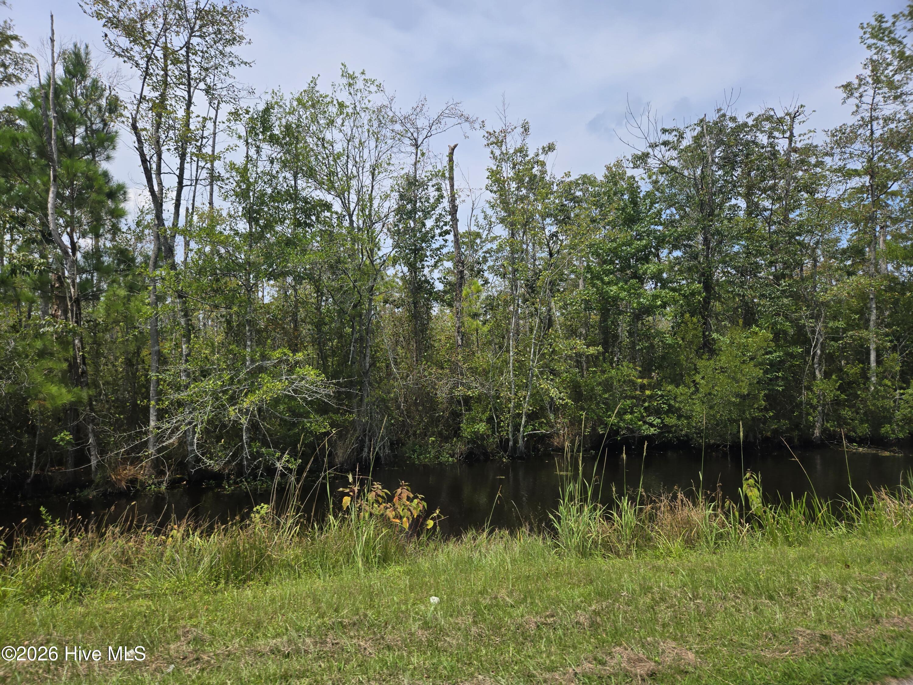 0 Elementary School Road Property Photo 3