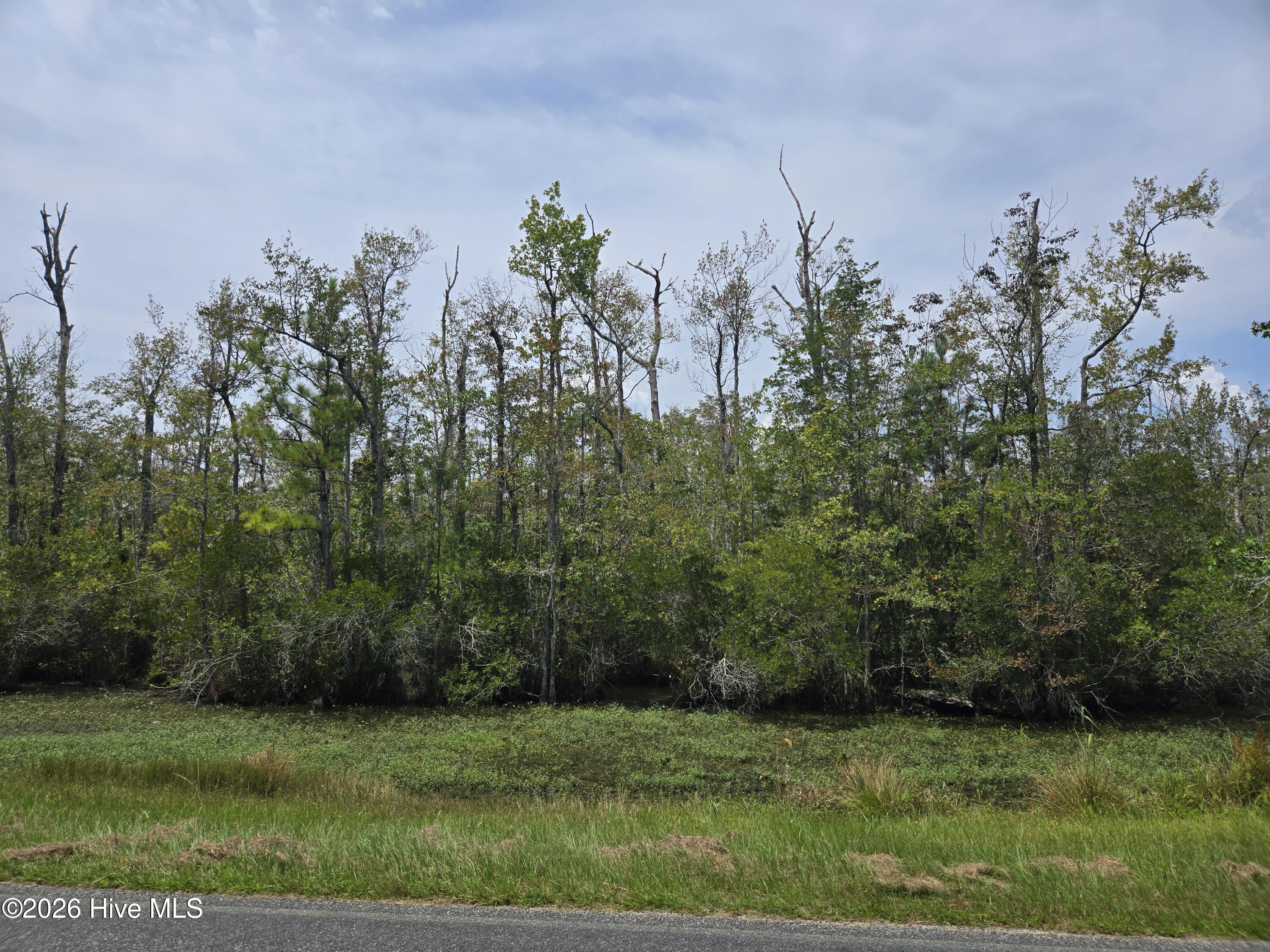 0 Elementary School Road Property Photo 4