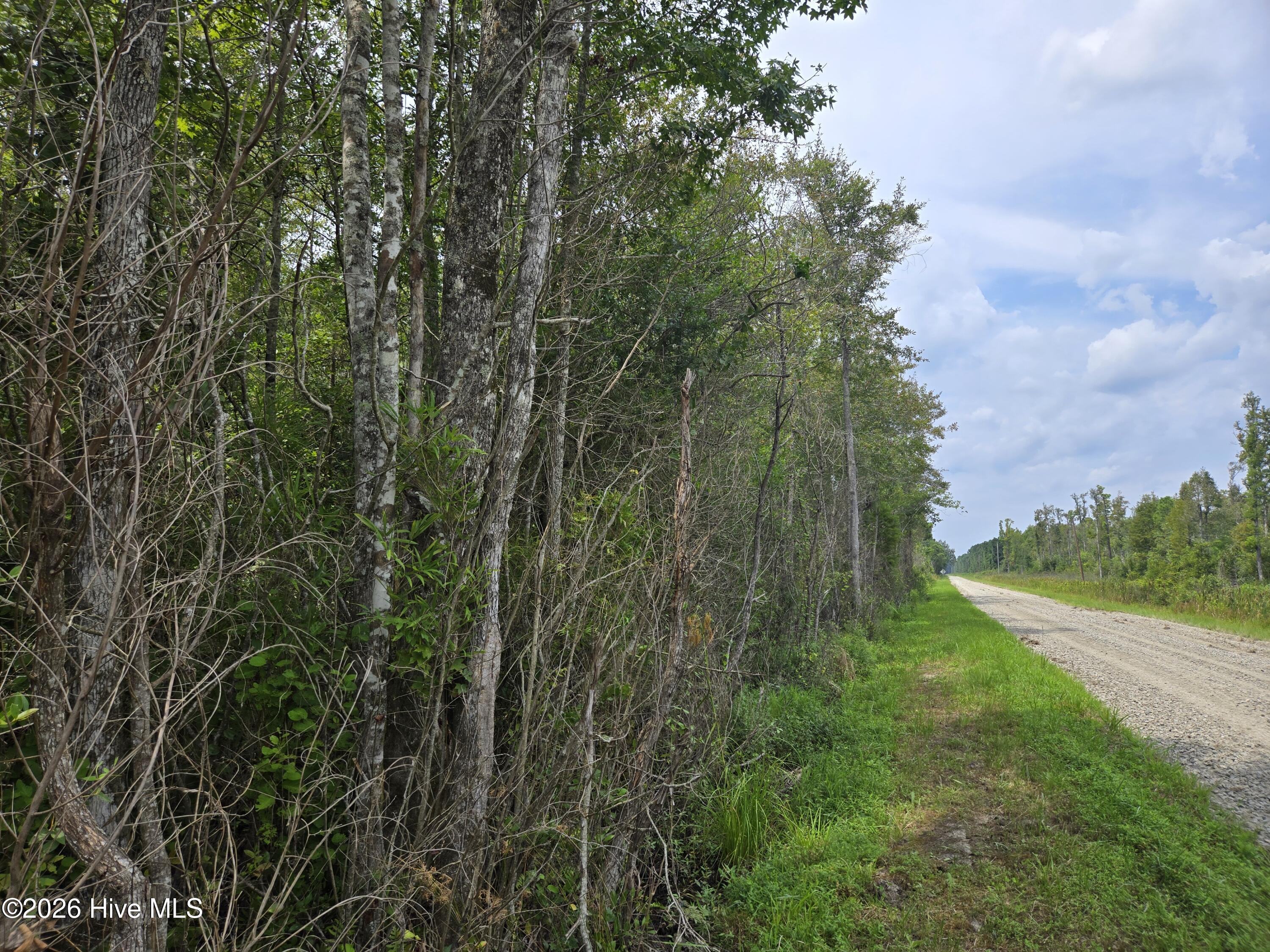 0 Elementary School Road Property Photo 5