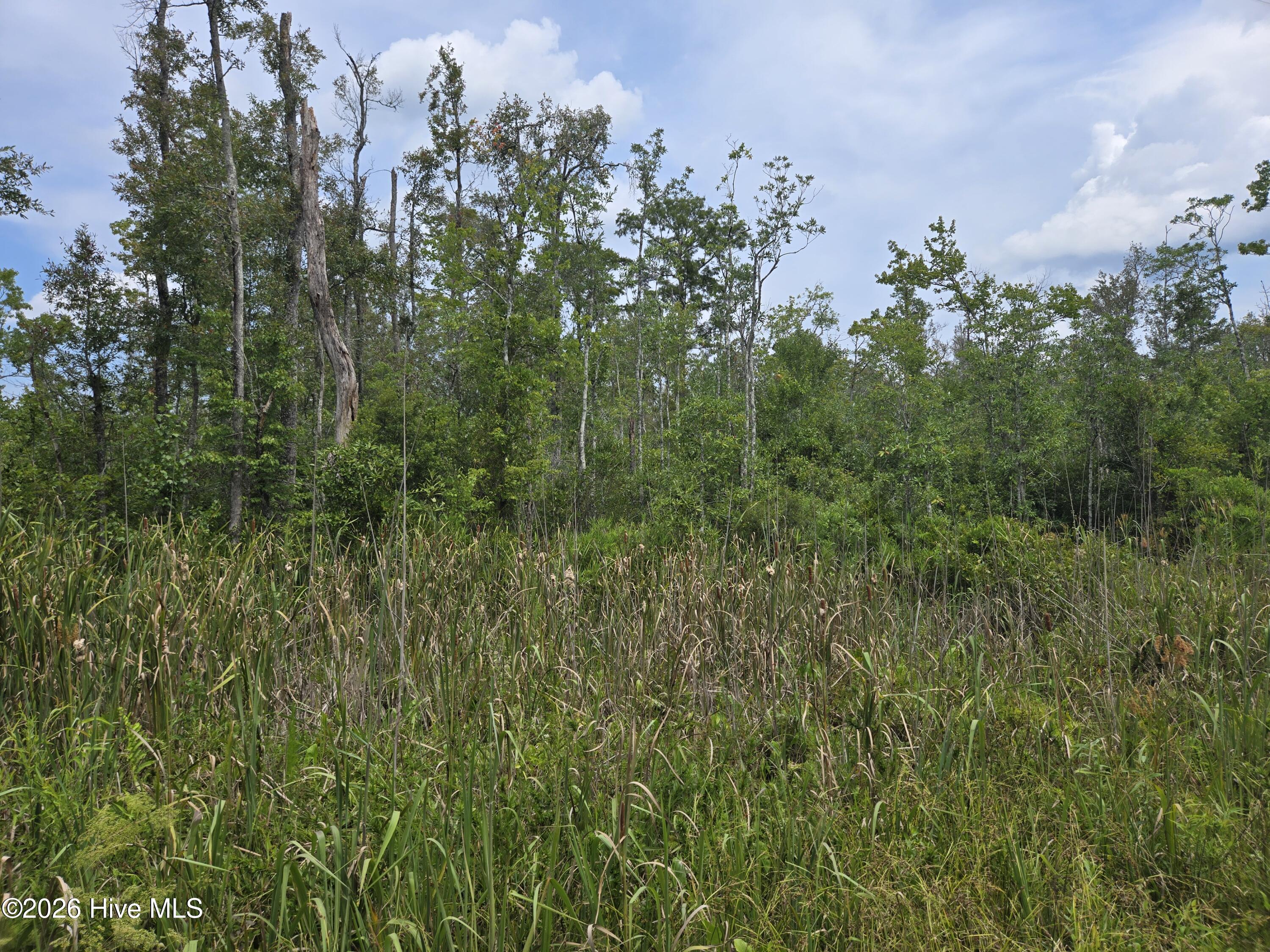 0 Elementary School Road Property Photo 6