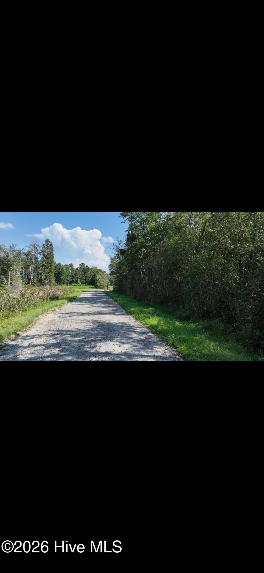 0 Elementary School Road Property Photo 9