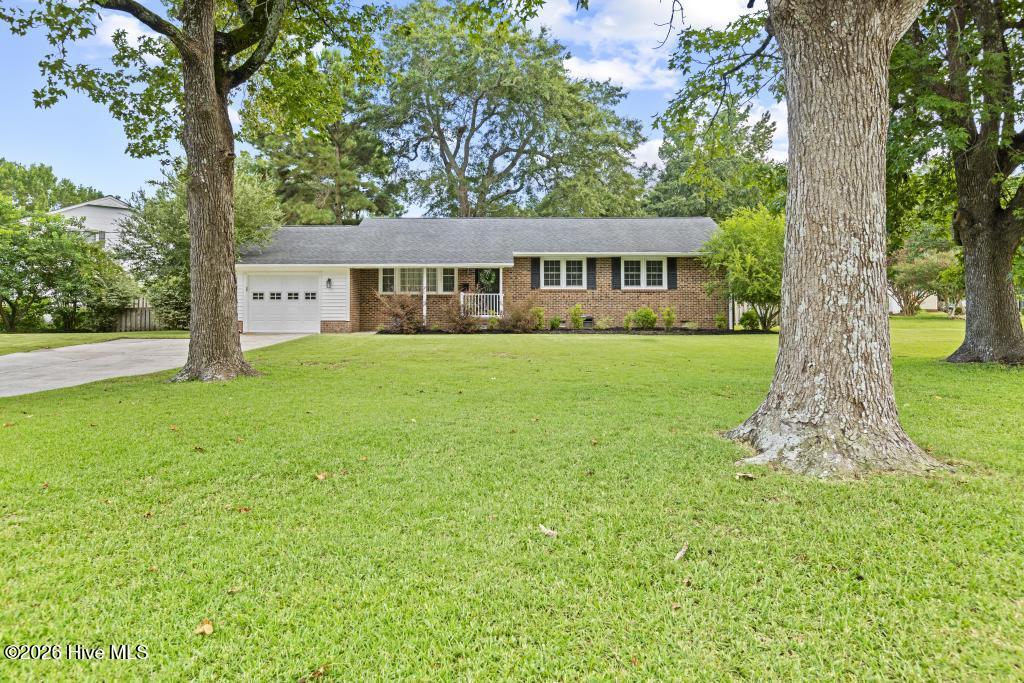 1121 Hendricks Avenue Property Photo 2