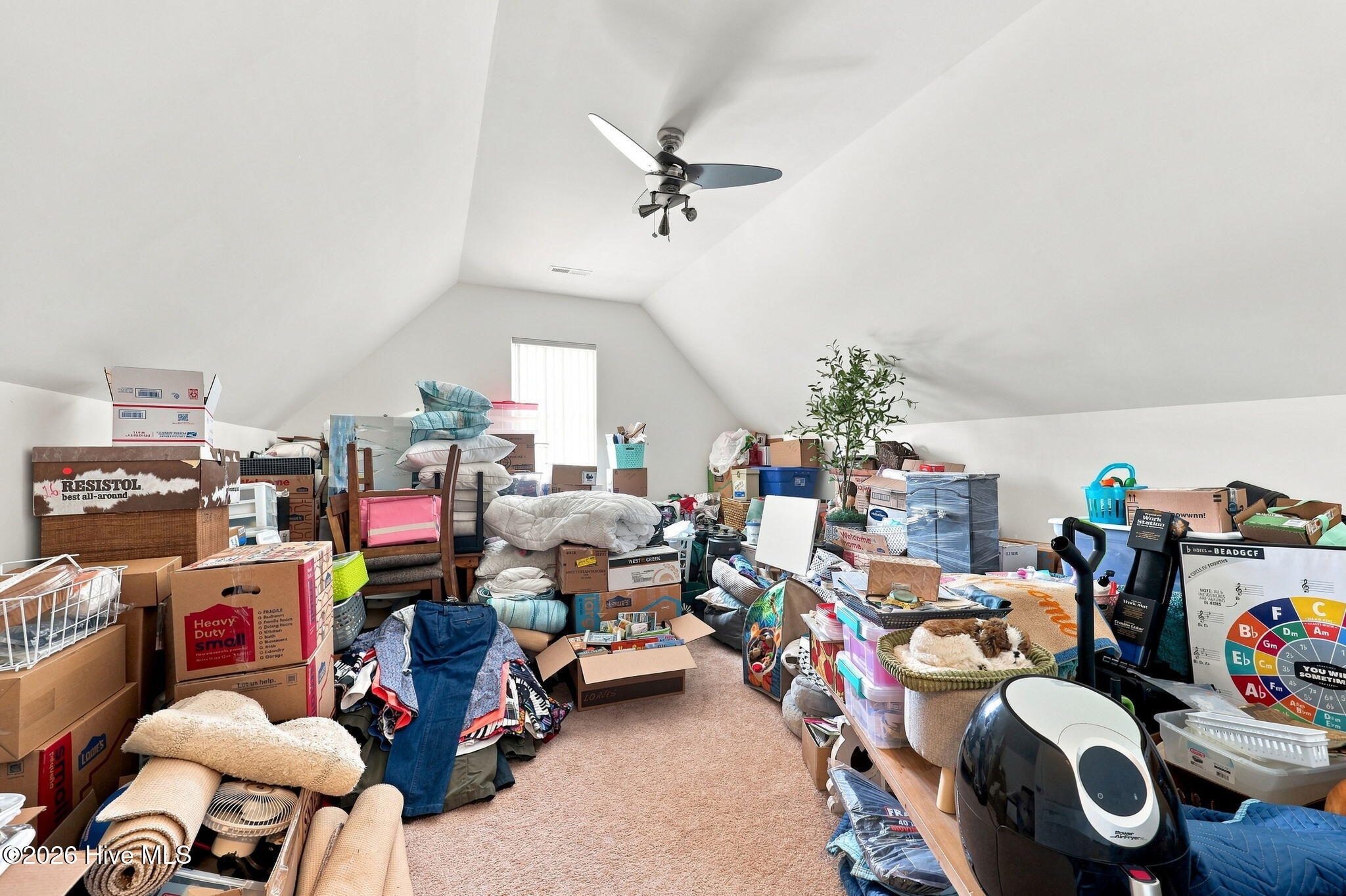 504 Casting Net Way Property Photo 23