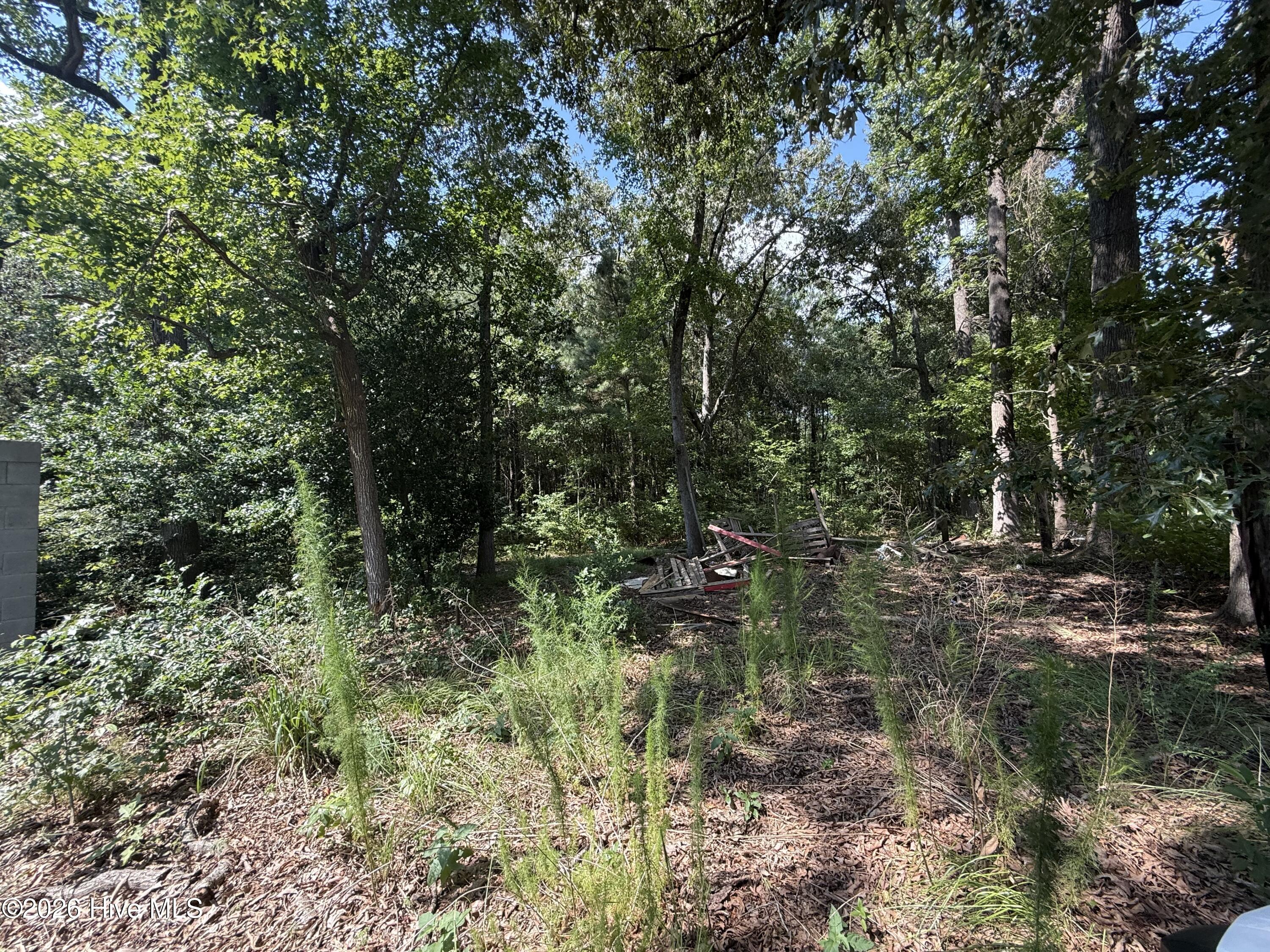 2740 Nc 71 Highway Property Photo 9