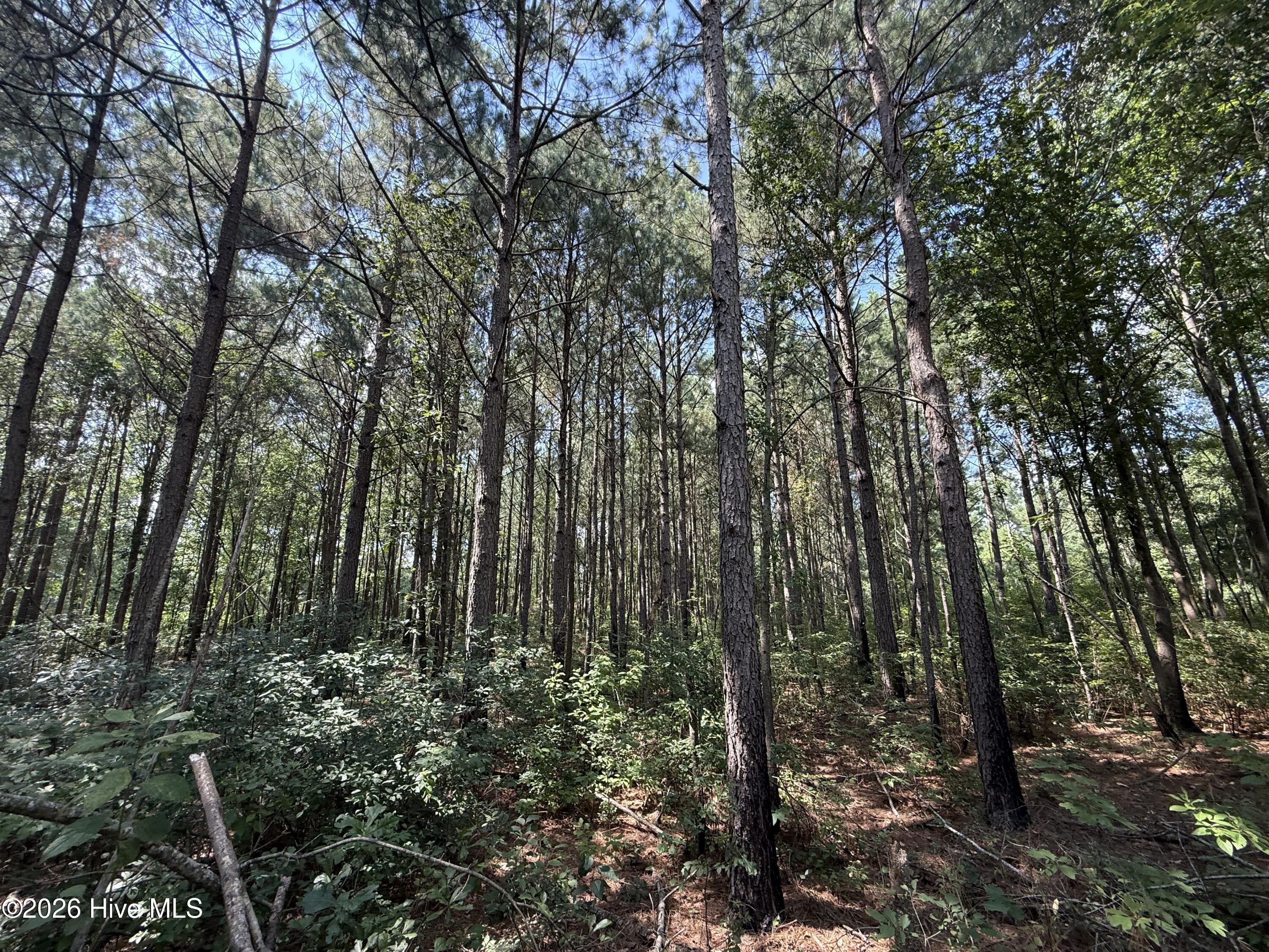 2740 Nc 71 Highway Property Photo 10