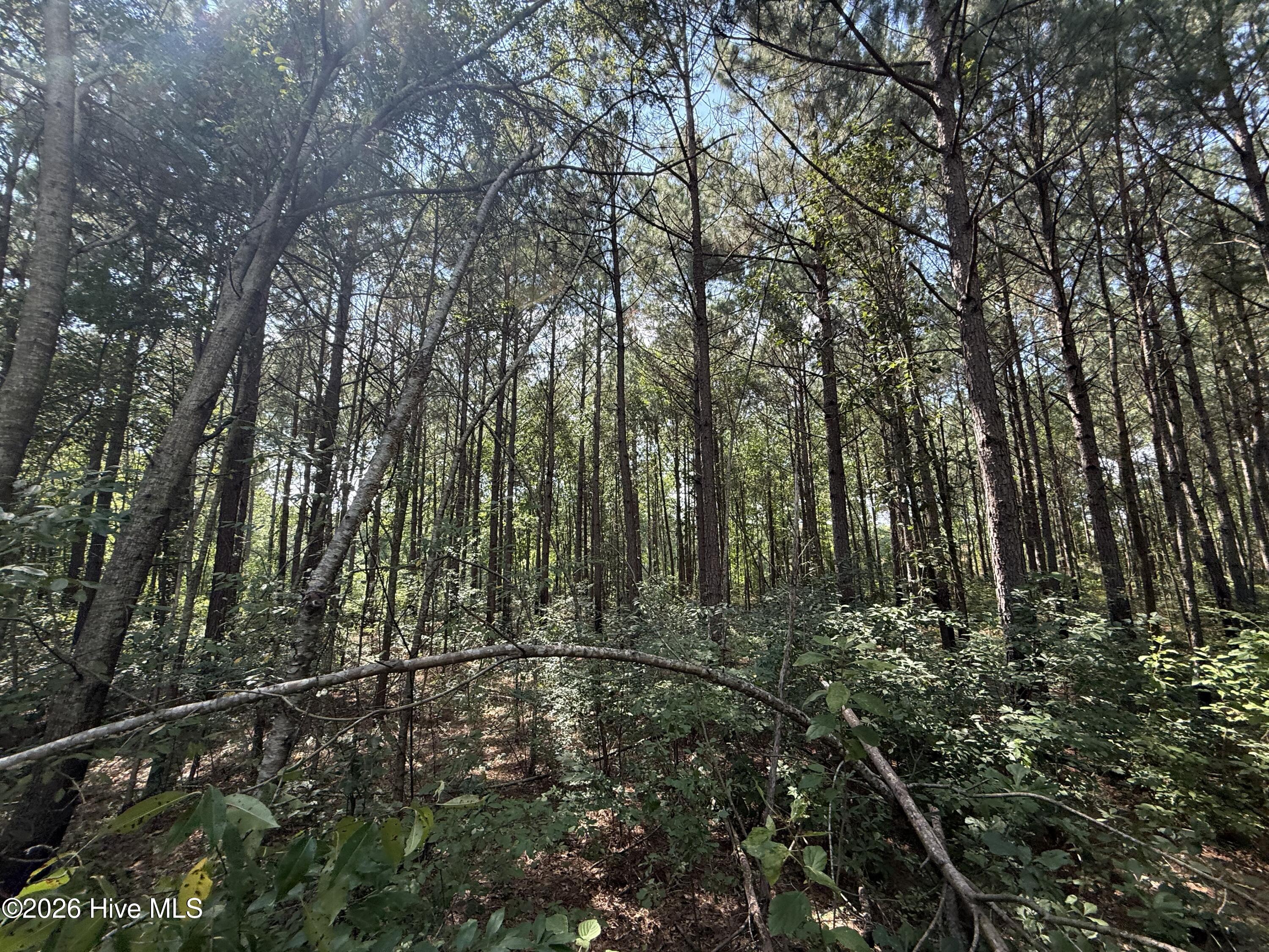 2740 Nc 71 Highway Property Photo 11