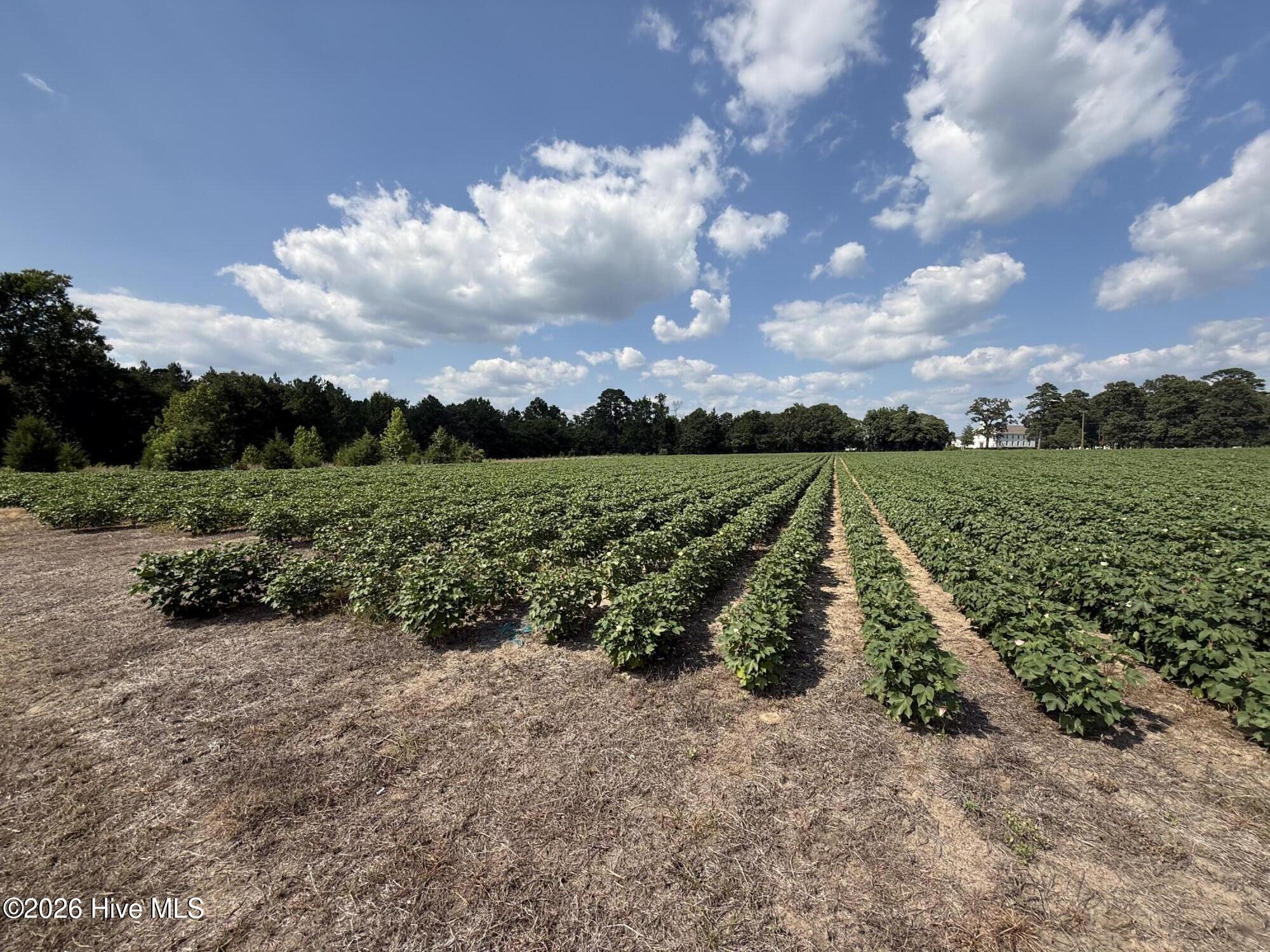 2740 Nc 71 Highway Property Photo 29