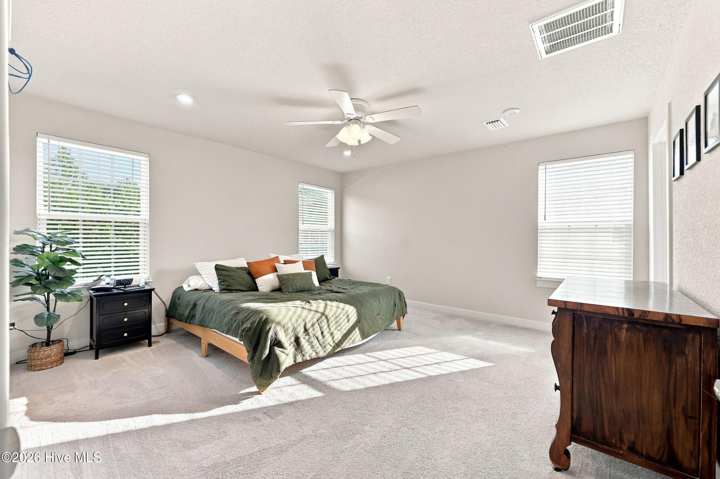 3706 Goose Pond Way Property Photo 5