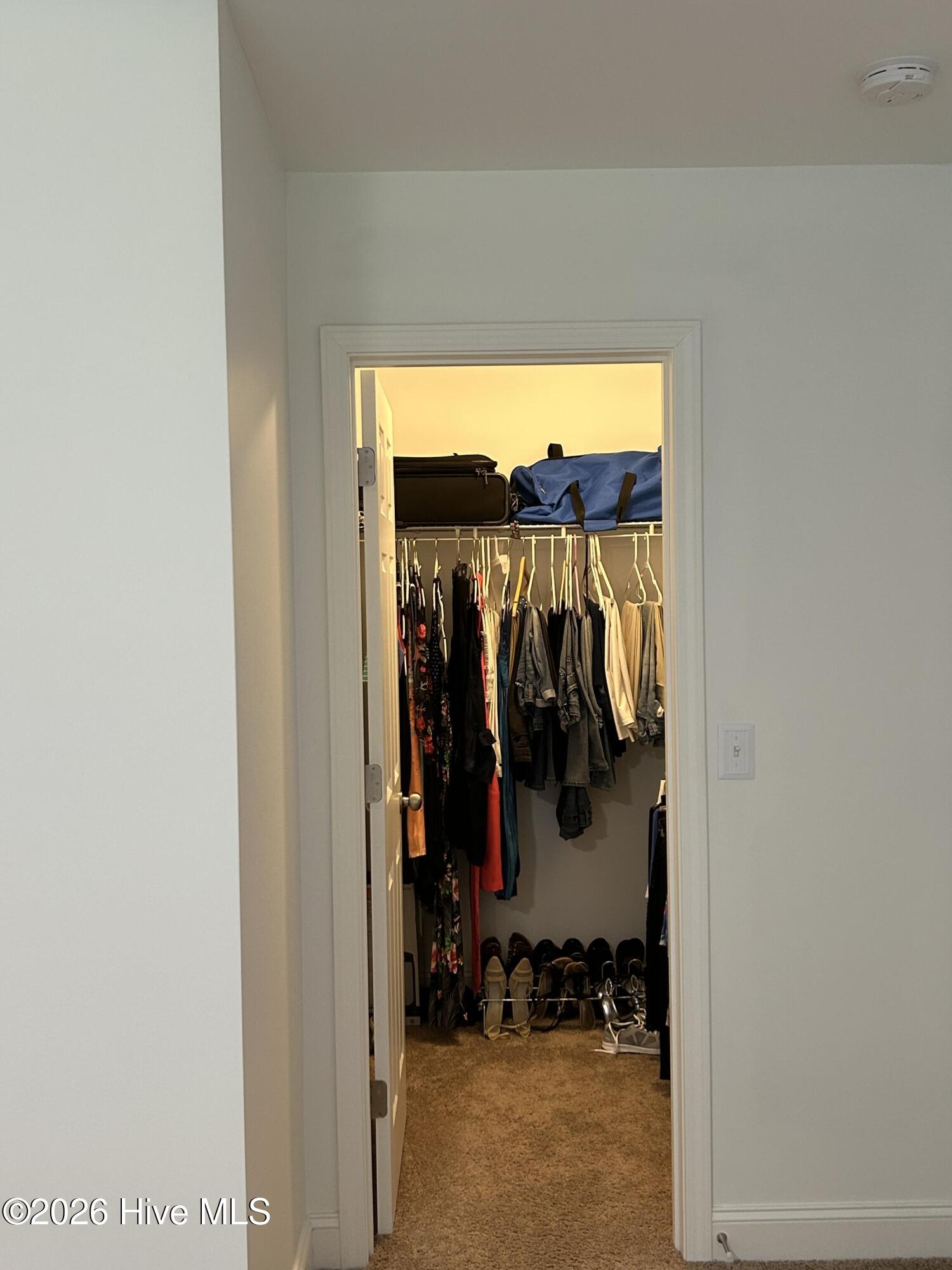 315 Woolard Trail Property Photo 19