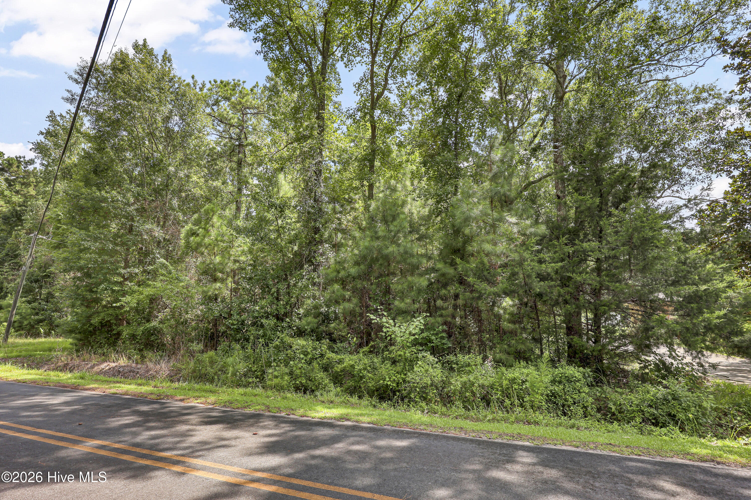 2916 Acorn Branch Road Property Photo 3