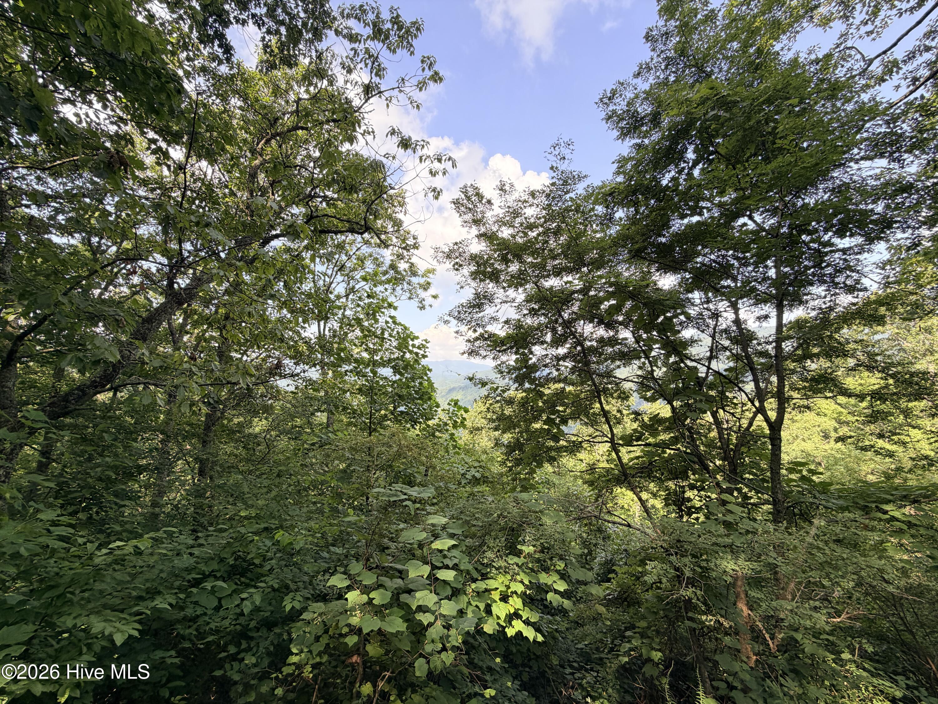 Lot 7 Mystic Ridge Way W Property Photo 4