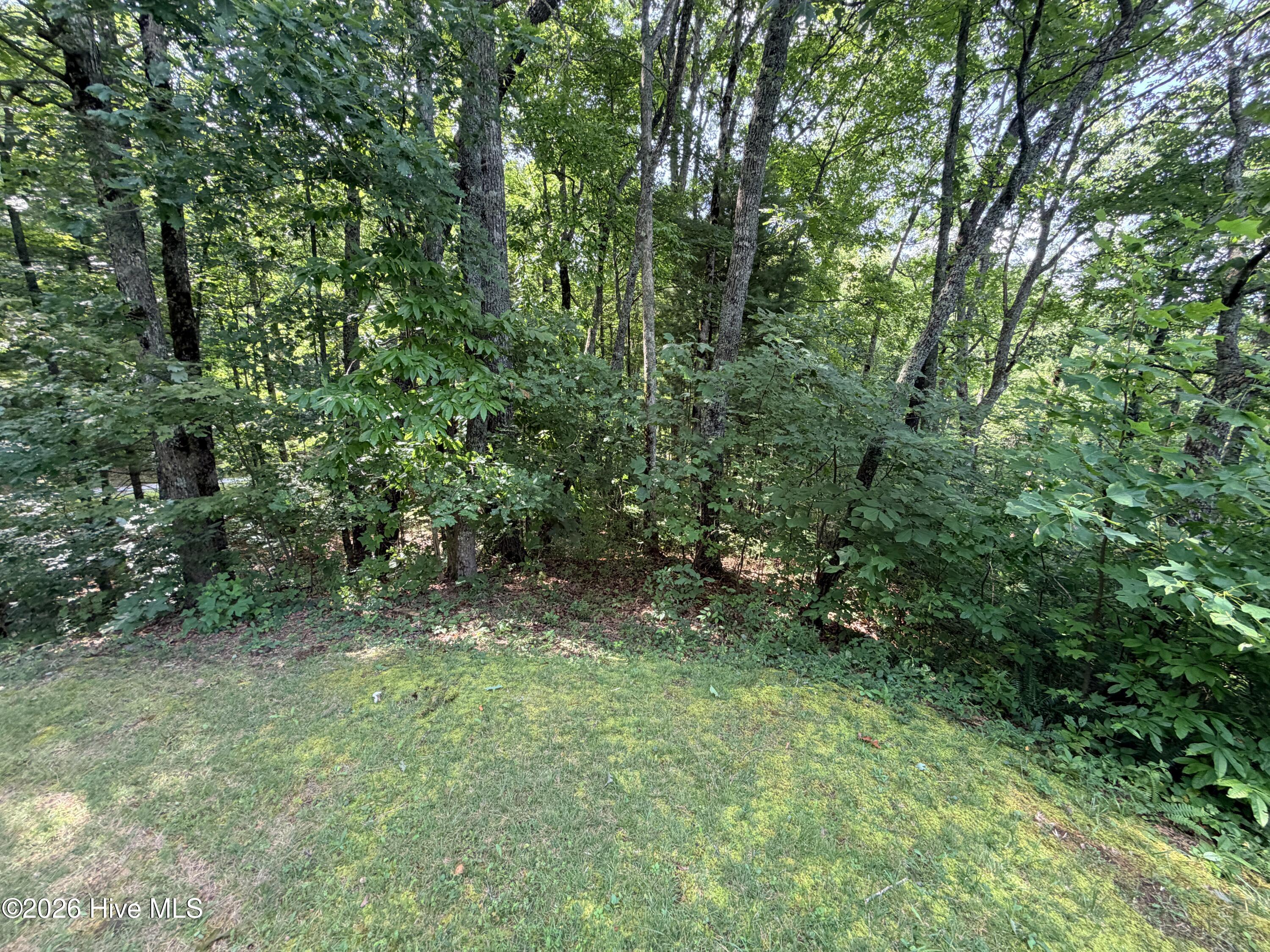 Lot 7 Mystic Ridge Way W Property Photo 6
