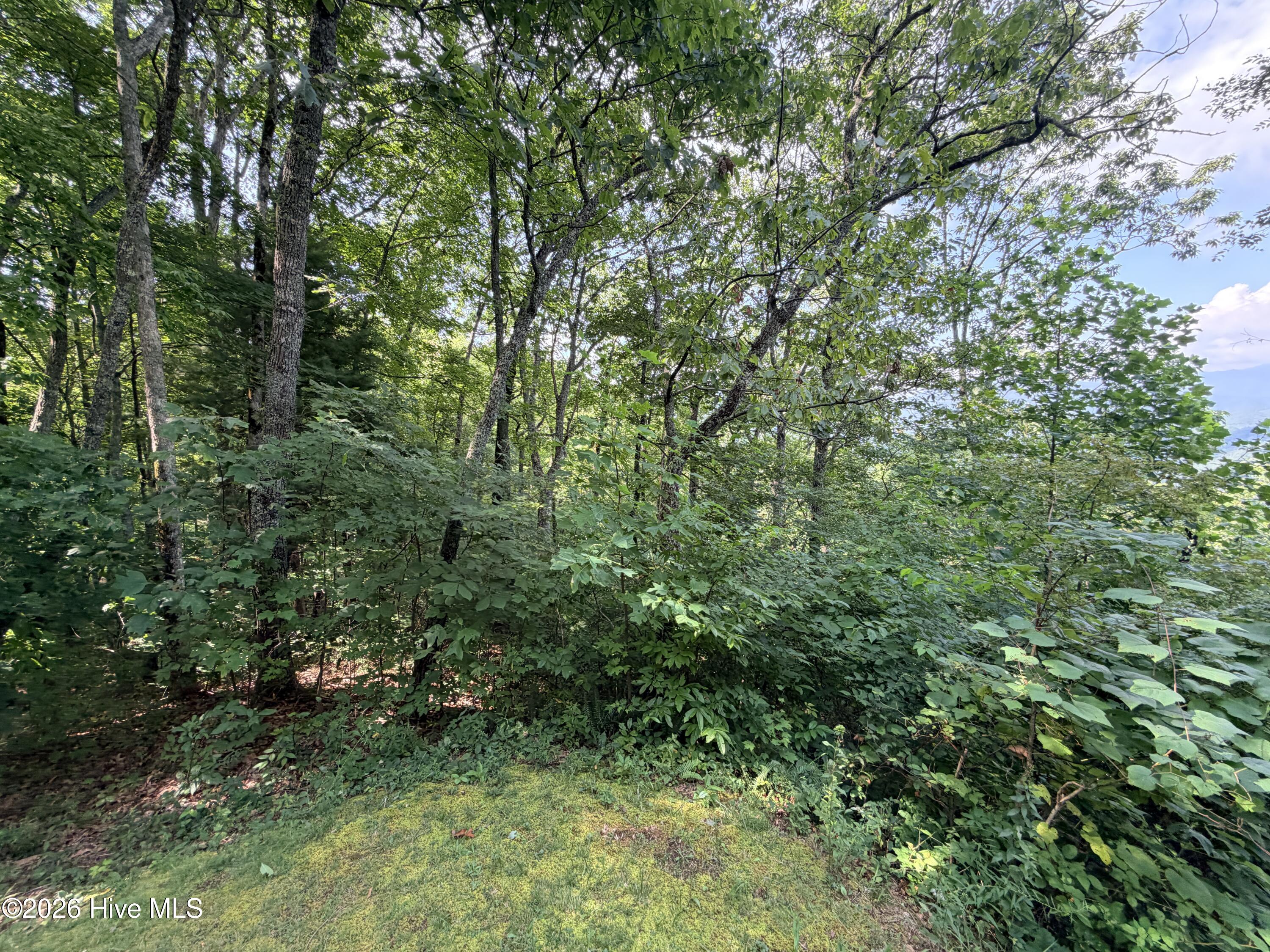 Lot 7 Mystic Ridge Way W Property Photo 7