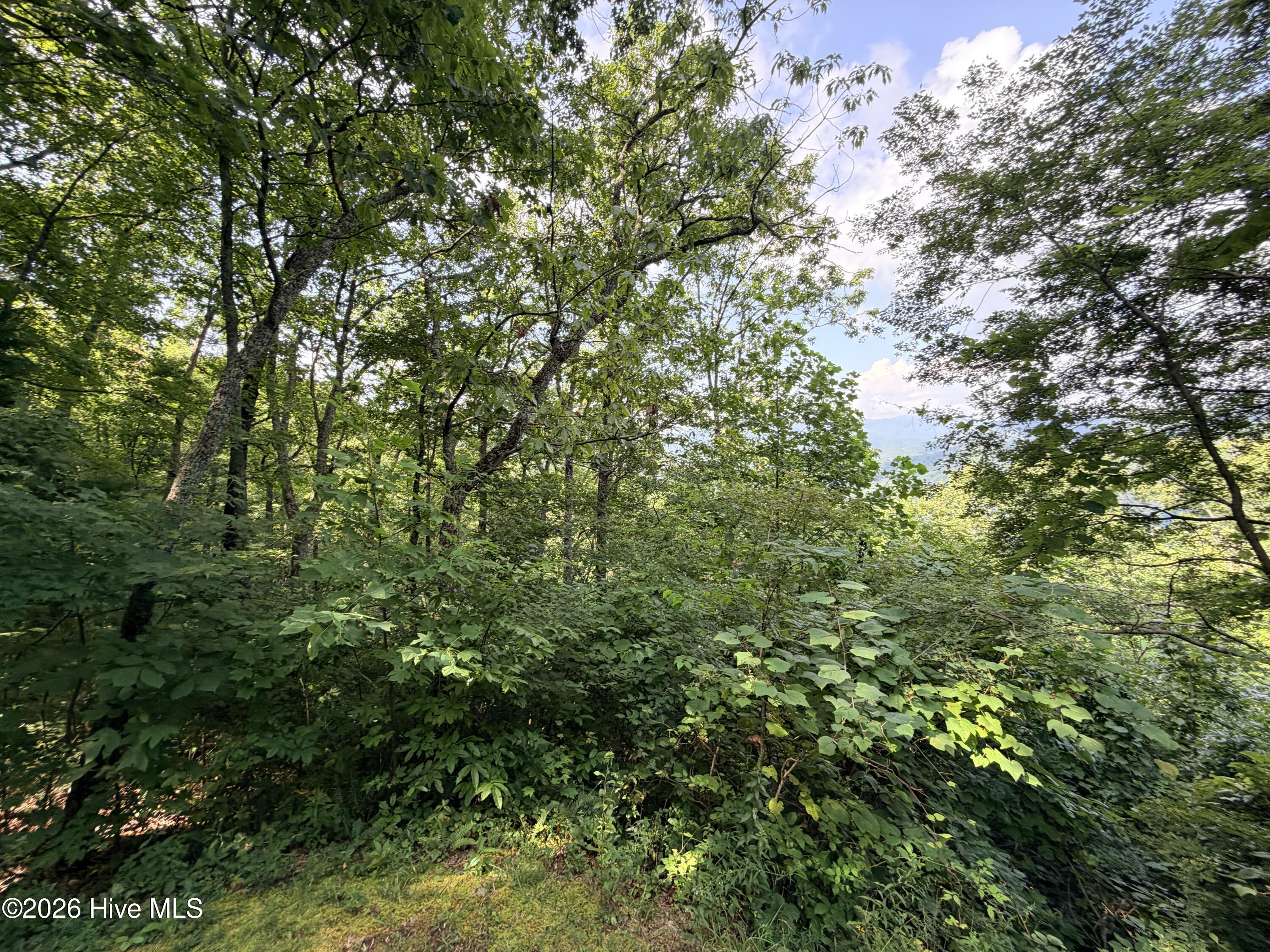 Lot 7 Mystic Ridge Way W Property Photo 8