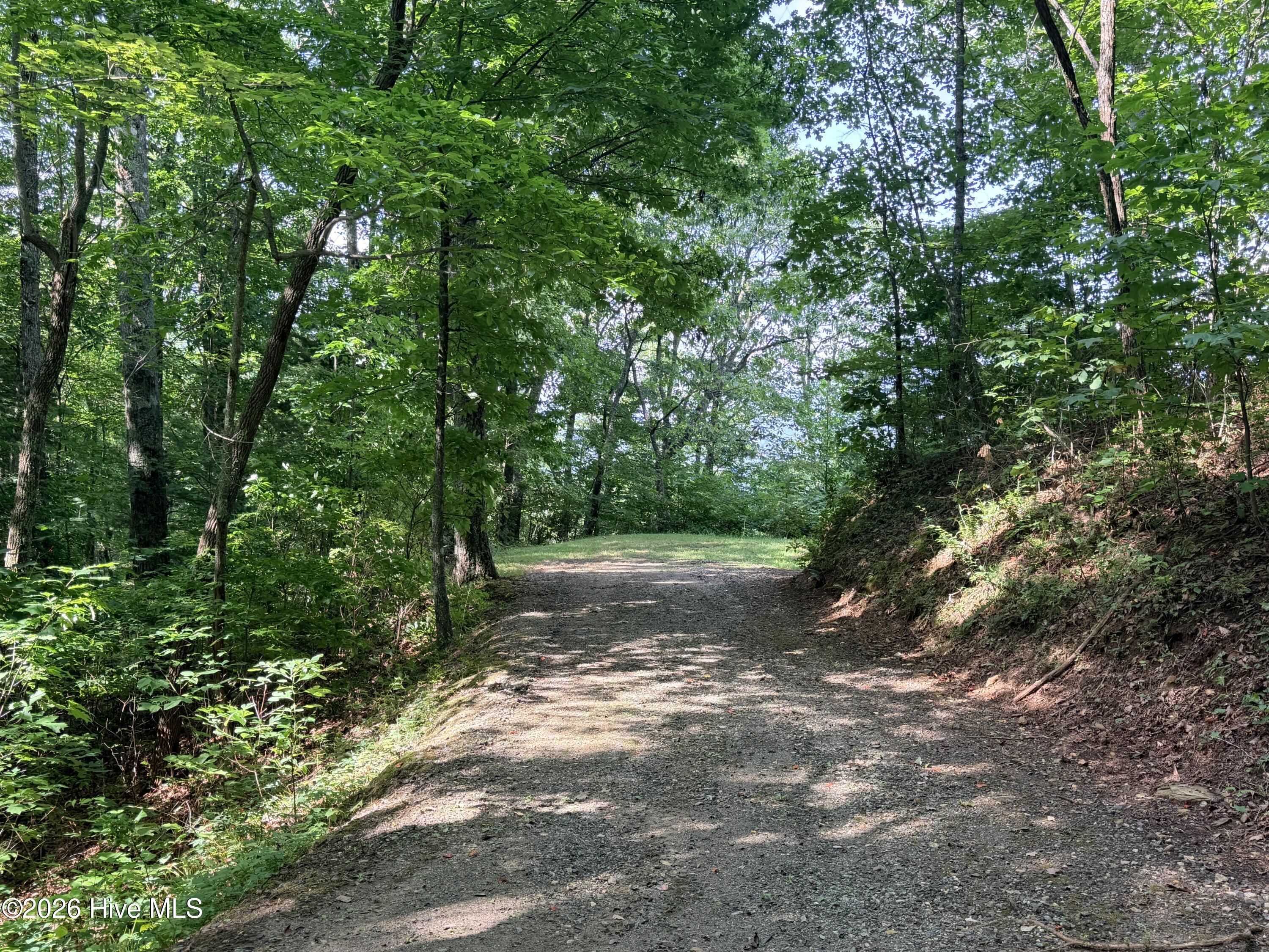 Lot 7 Mystic Ridge Way W Property Photo 9